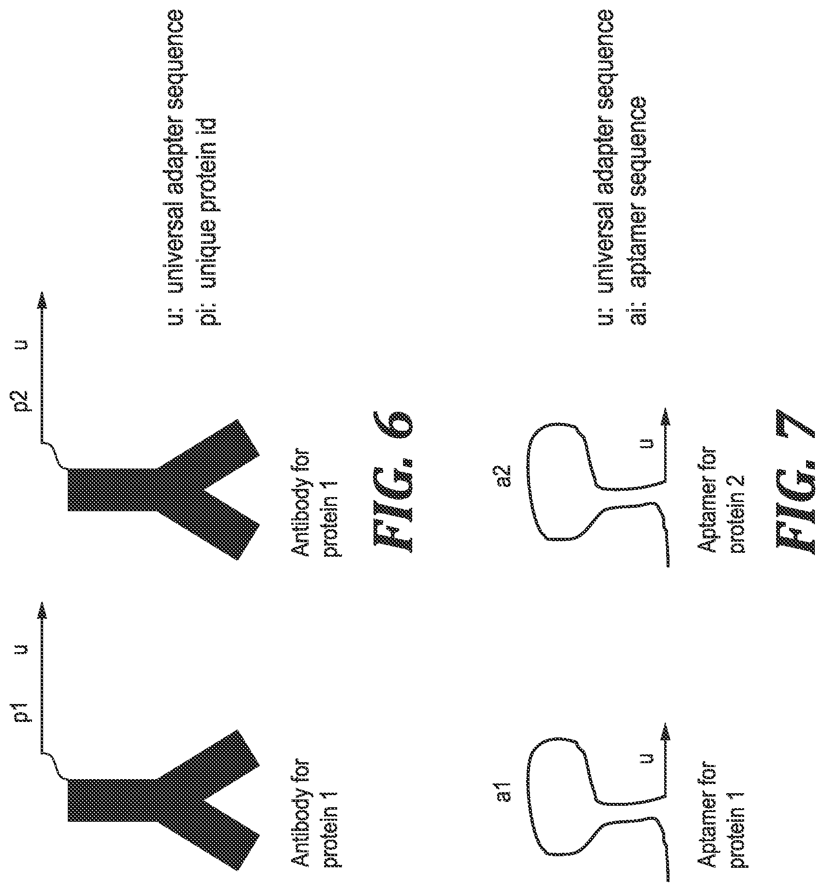 Patent US12305219 Figure 5 – Methods and kits for labeling cellular molecules