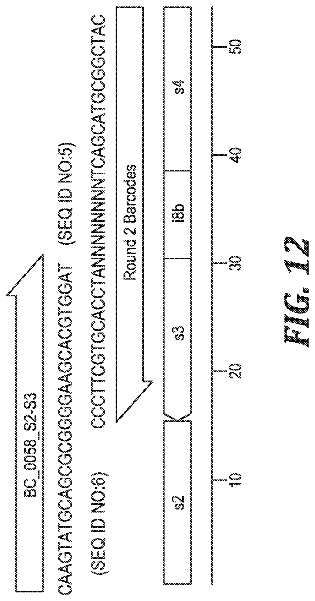 Patent US12305219 Figure 9 – Methods and kits for labeling cellular molecules