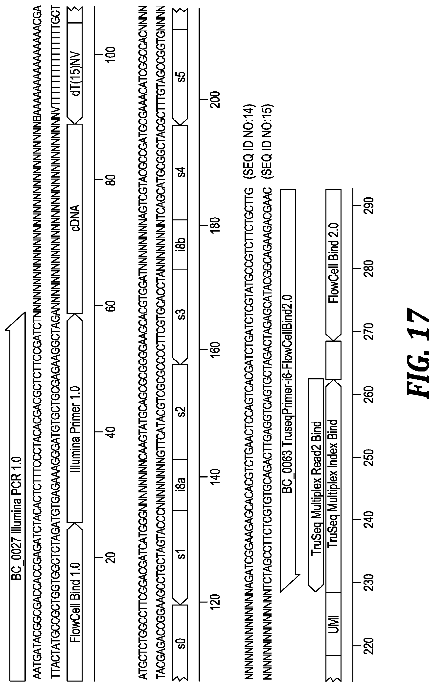 Patent US12305219 Figure 14 – Methods and kits for labeling cellular molecules