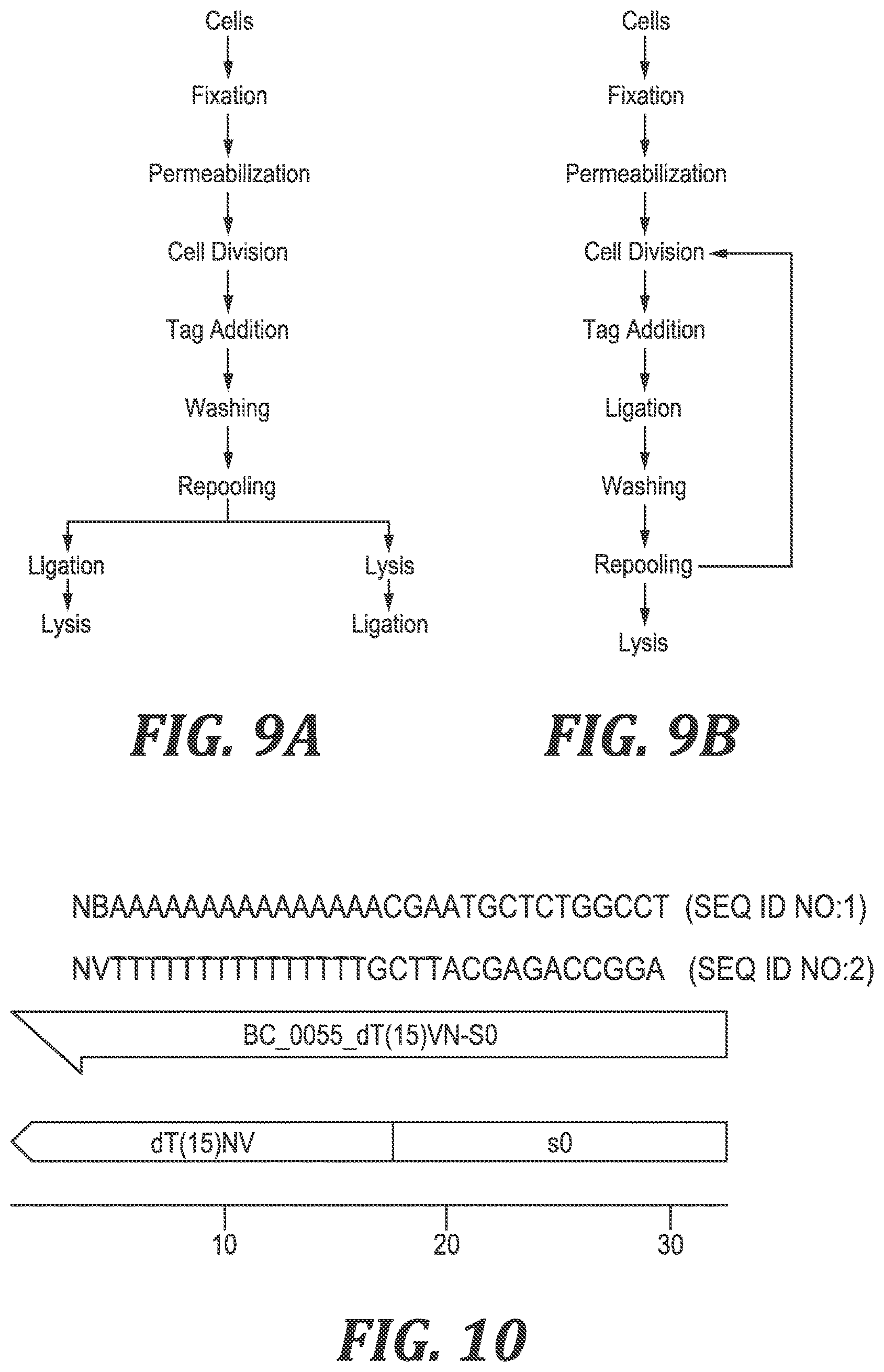 Patent US12305220 Figure 7 – Methods and kits for labeling cellular molecules