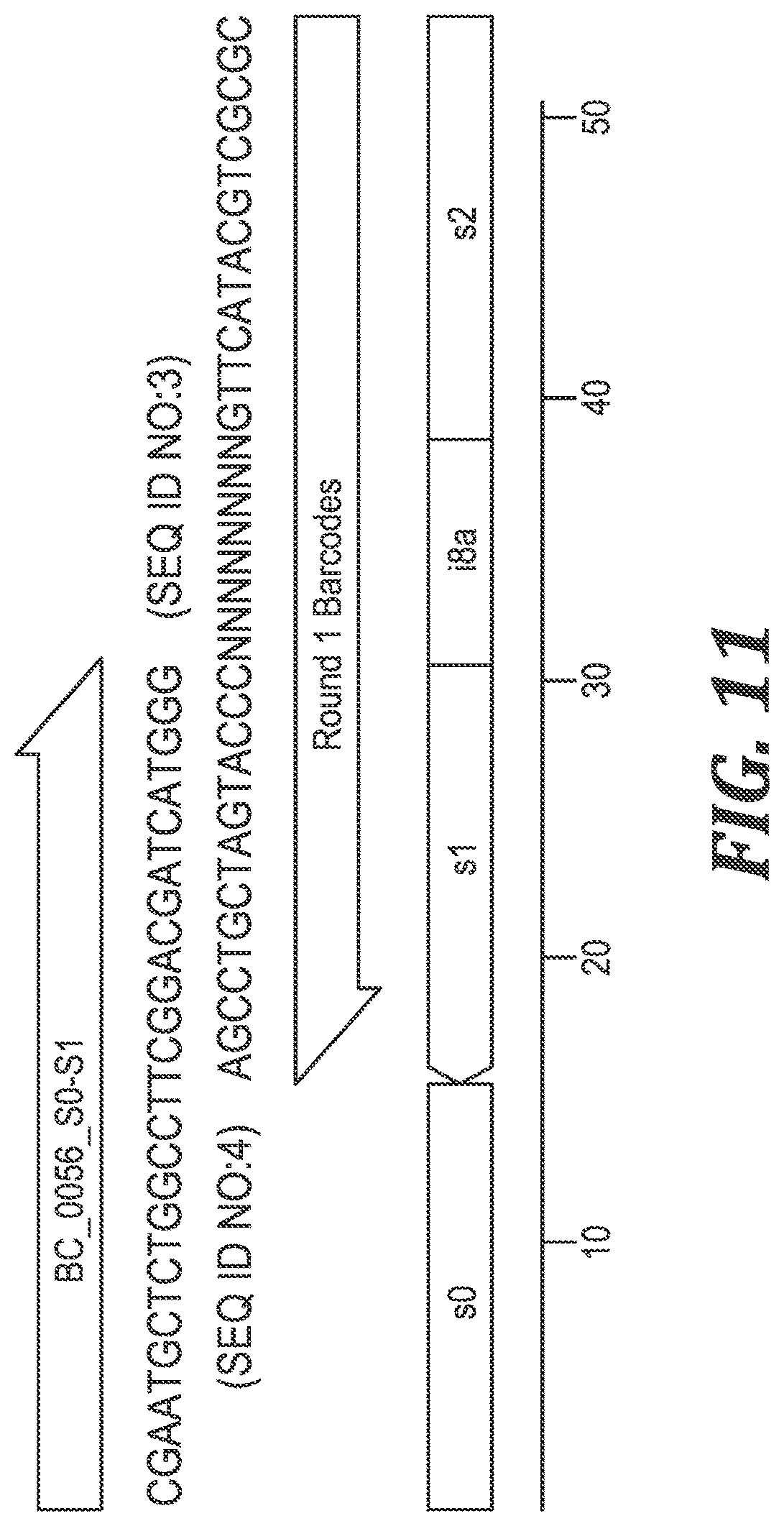 Patent US12305220 Figure 8 – Methods and kits for labeling cellular molecules