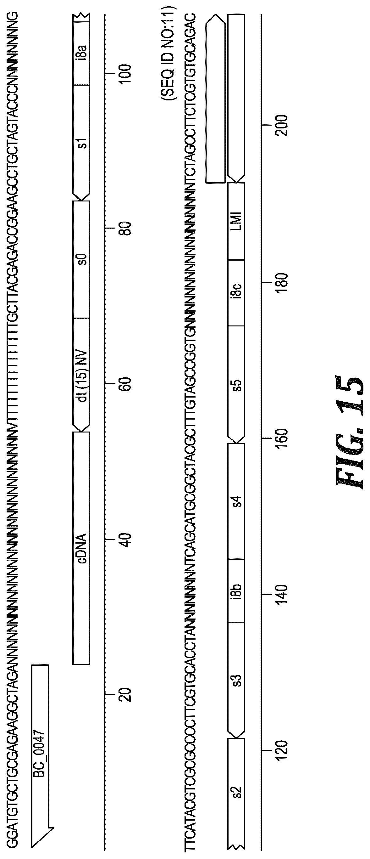 Patent US12305220 Figure 12 – Methods and kits for labeling cellular molecules