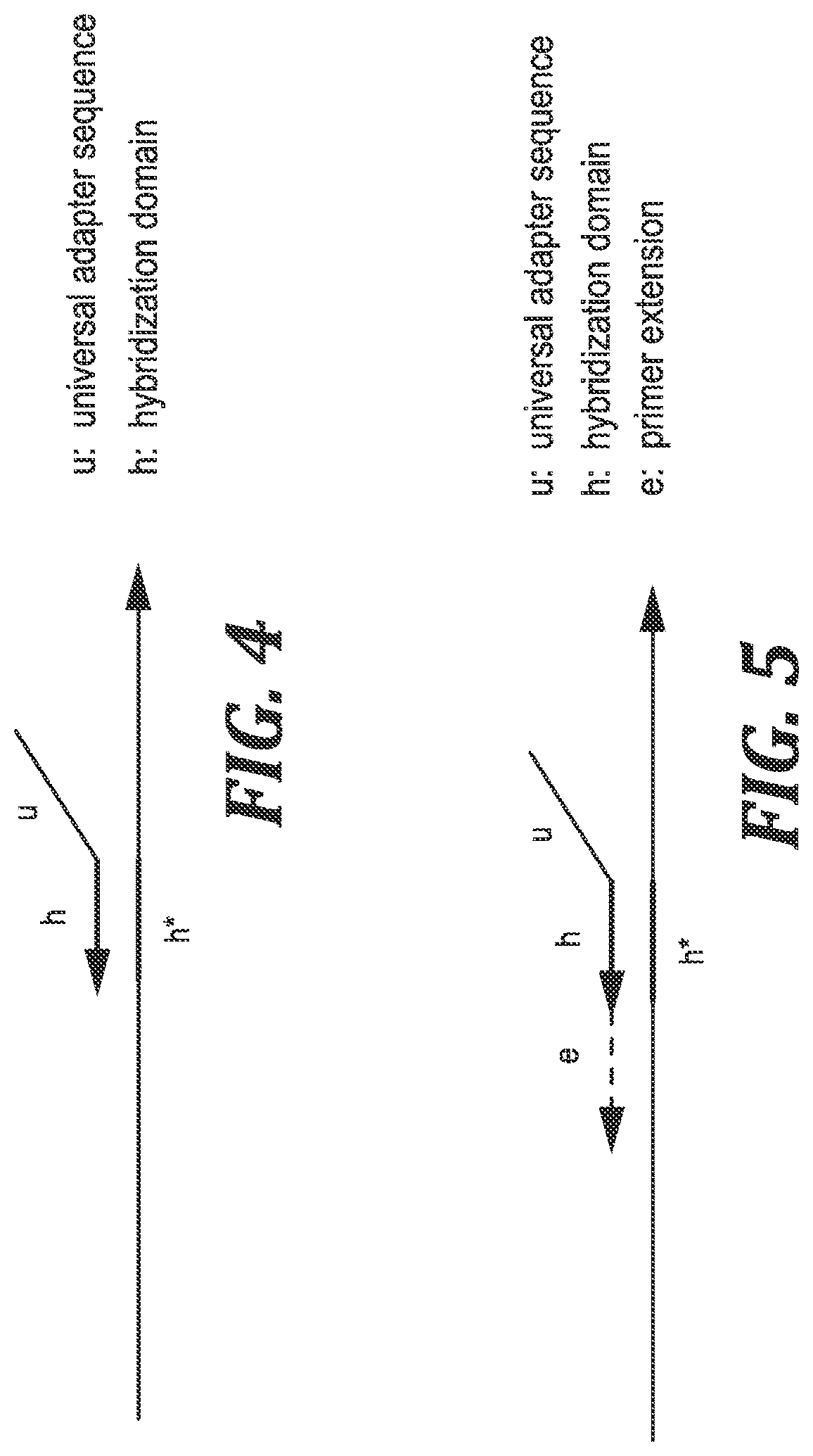 Patent US12305221 Figure 4 – Methods and kits for labeling cellular molecules