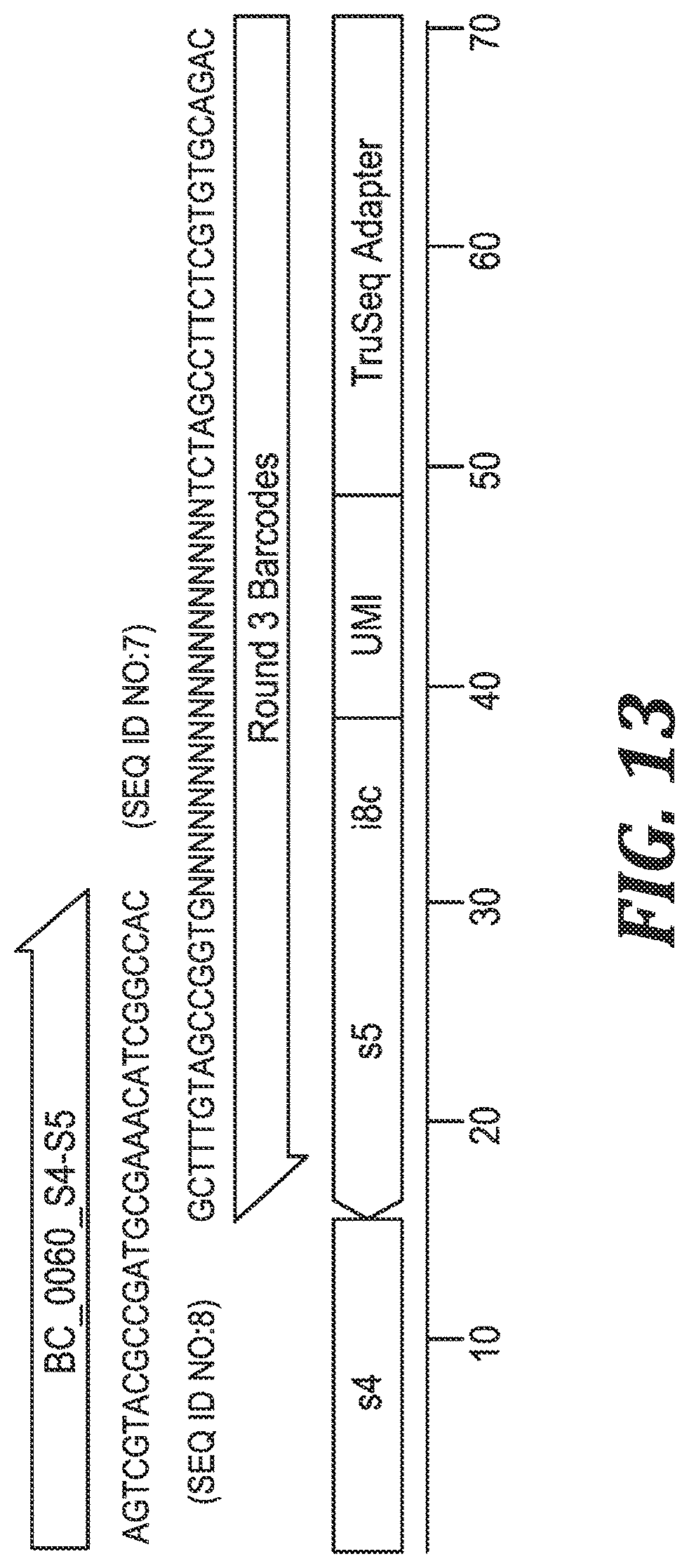 Patent US12305221 Figure 10 – Methods and kits for labeling cellular molecules
