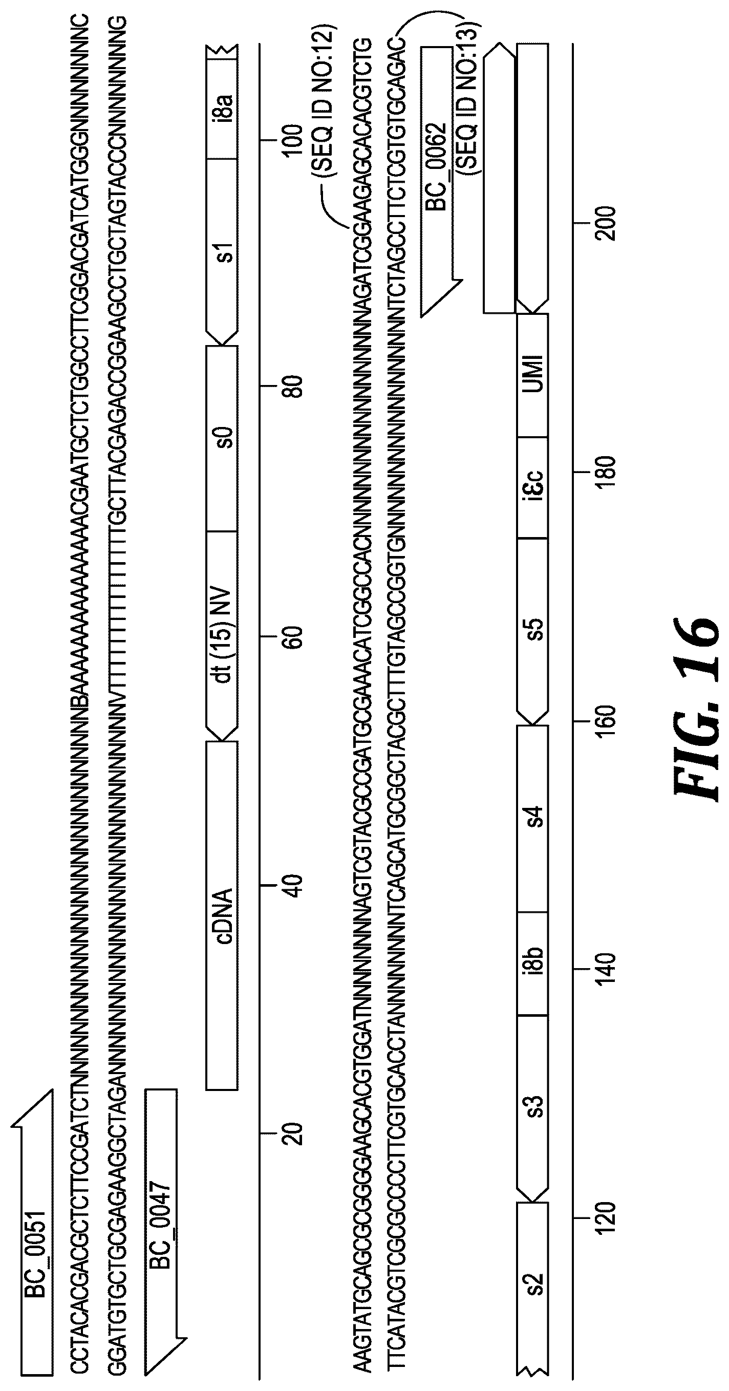 Patent US12305221 Figure 13 – Methods and kits for labeling cellular molecules