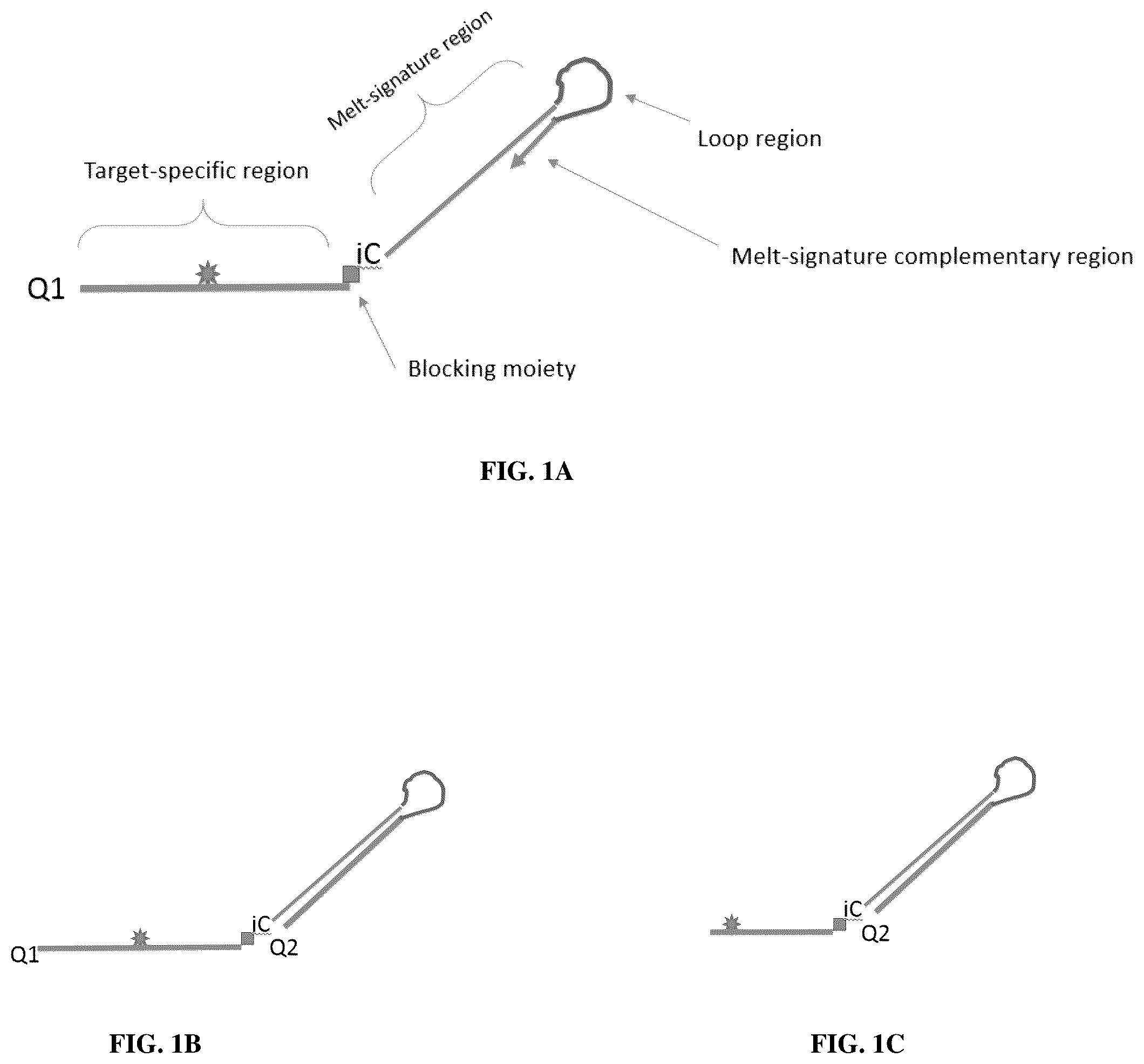 Patent US12305223 — Methods and probes for performing PCR with melt analysis for increased multiplexing — Figure 1
