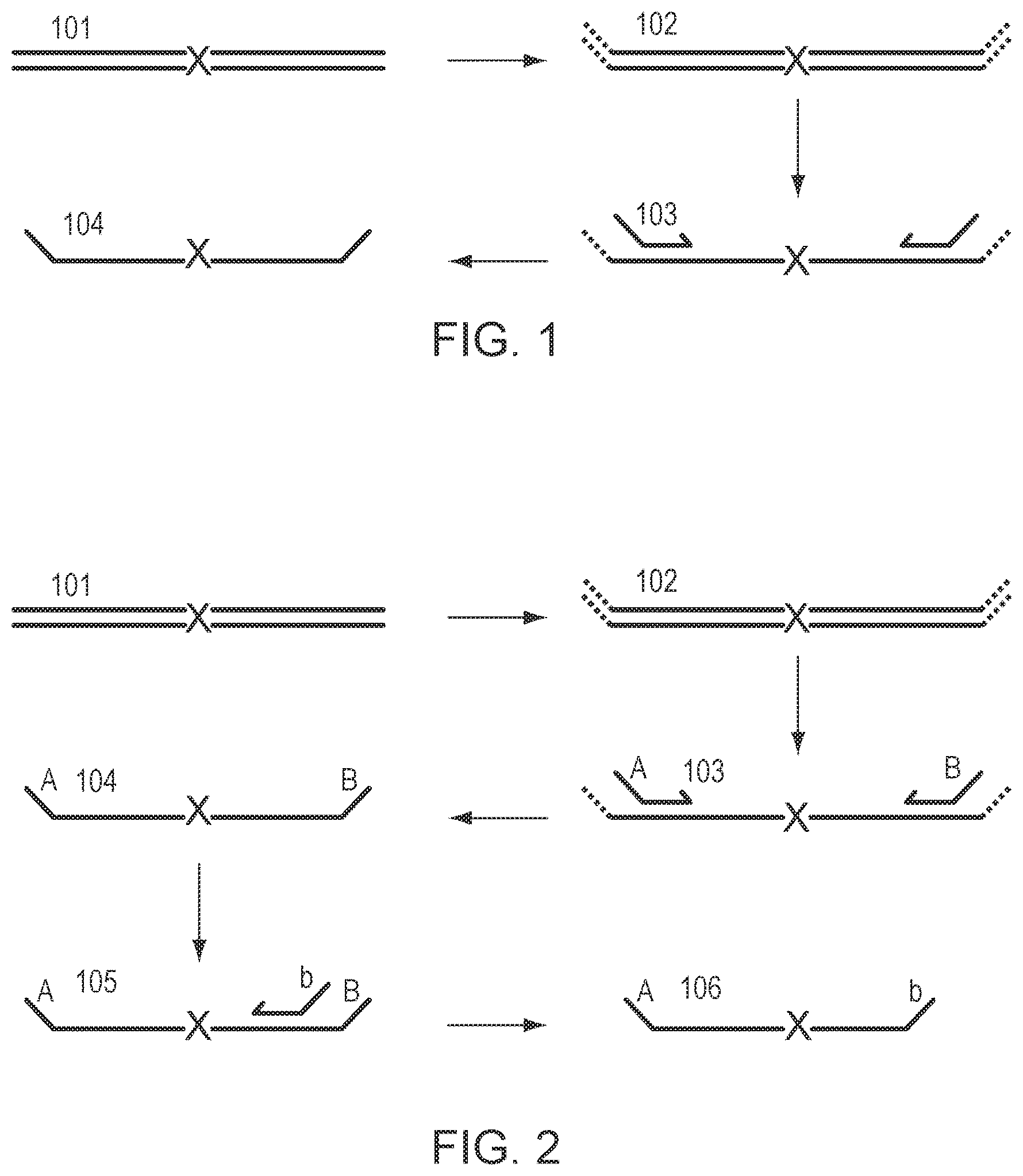 Patent US12305229 — Methods for simultaneous amplification of target loci — Figure 1