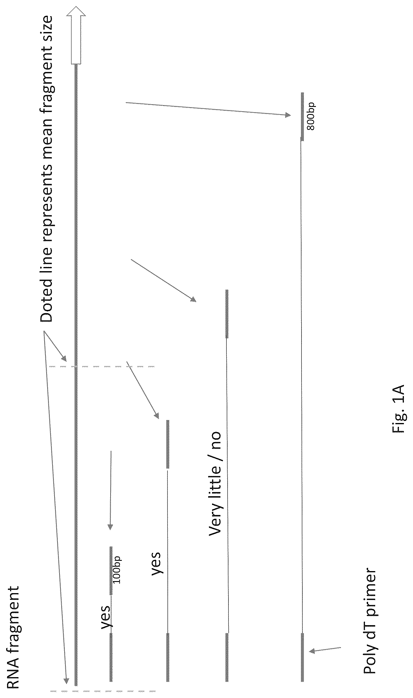 Patent US12305231 — Systems and processes for distinguishing pathogenic and non-pathogenic sequences from specimens — Figure 1
