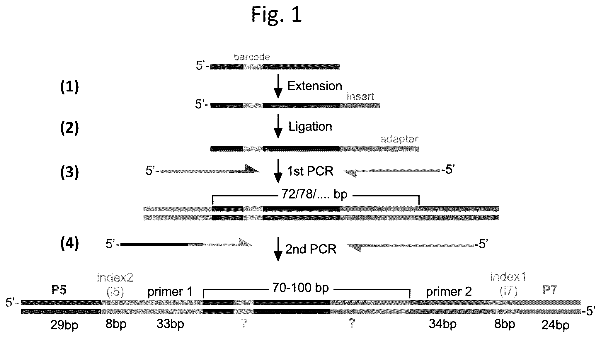 Patent US12305233 — Ultra-high-throughput assay for telomerase repeat addition processivity — Figure 1