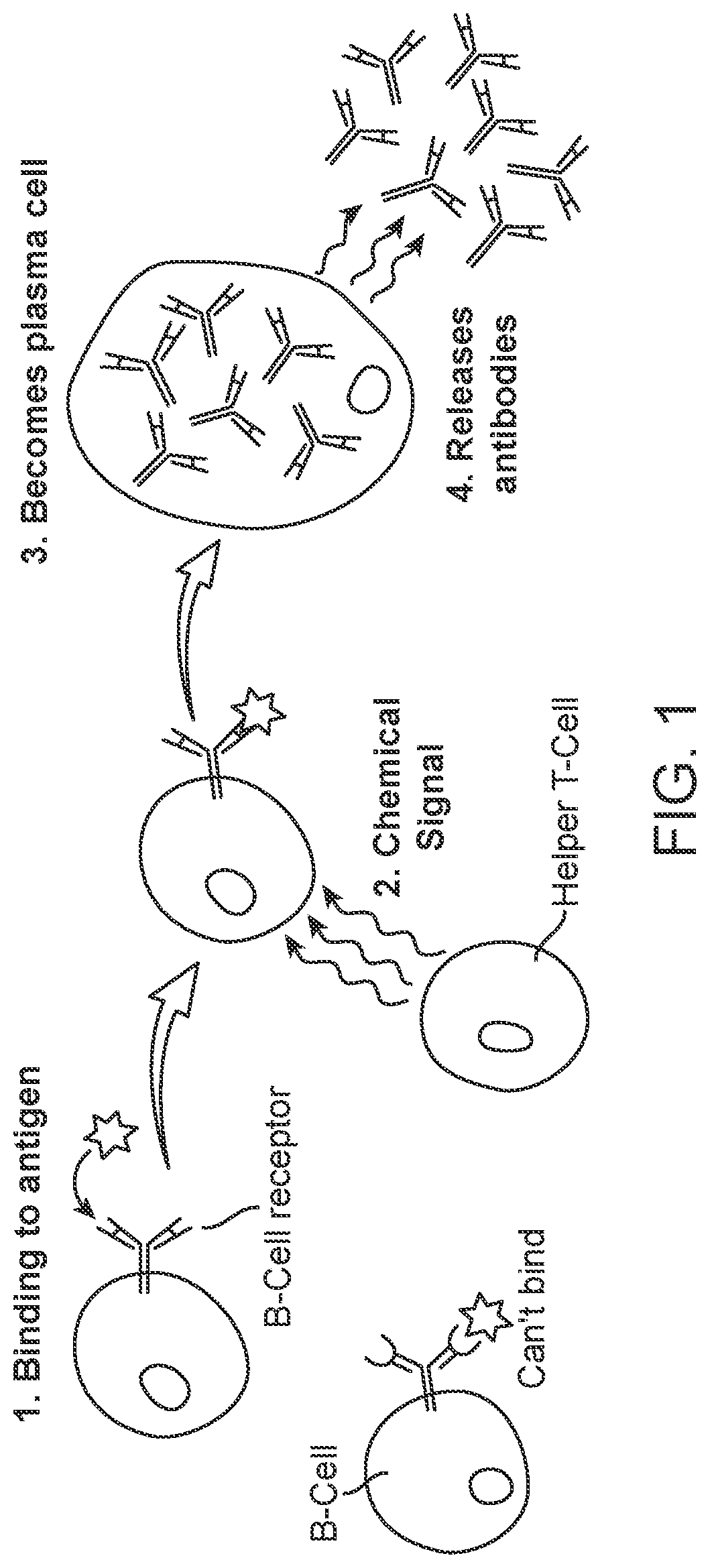 Patent US12305235 — Methods for detecting immune cell DNA and monitoring immune system — Figure 1