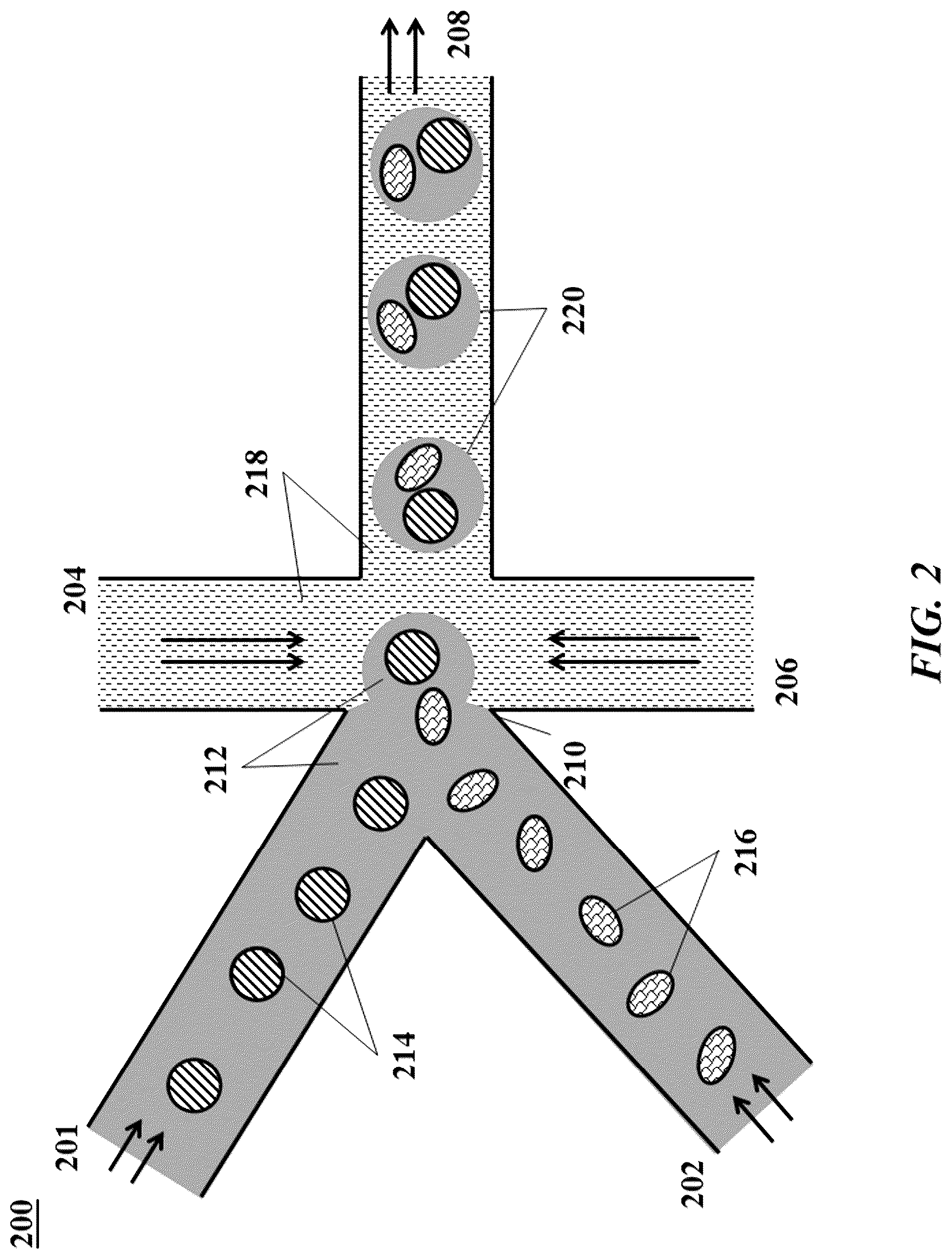 Patent US12305239 Figure 2 – Analysis of nucleic acid sequences