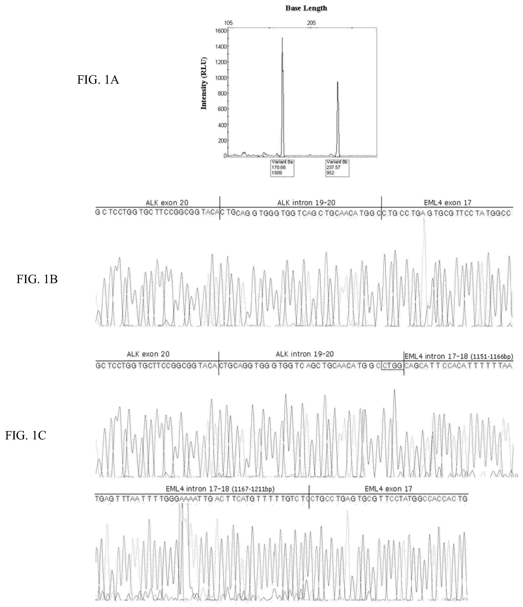Patent US12305241 — EML4-ALK translocations in lung cancer — Figure 1