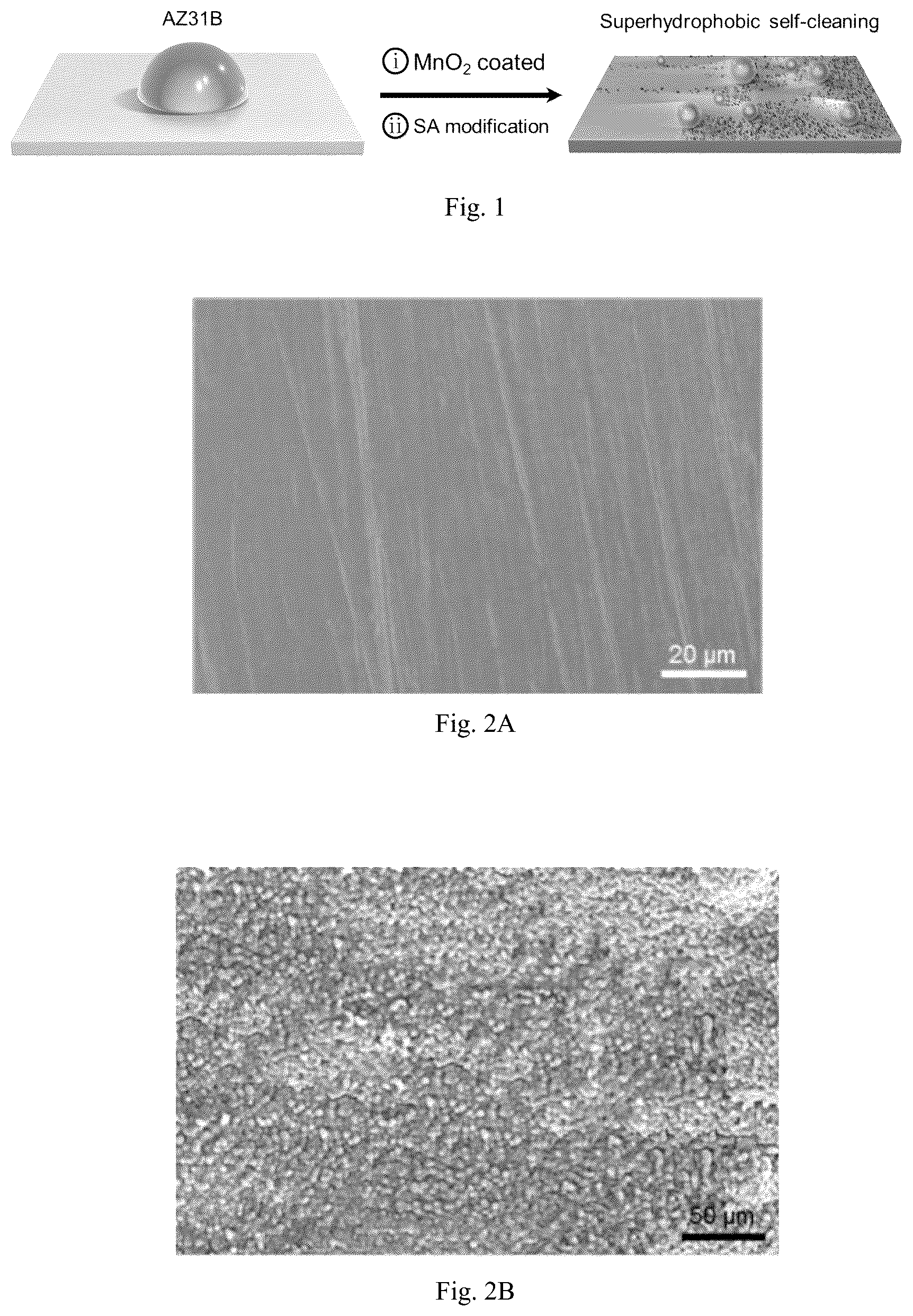 Patent US12305291 — Super-hydrophobic manganese dioxide coating on metallic material surfaces — Figure 1