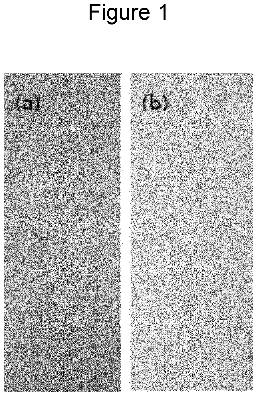 Patent US12305294 — Composition for surface treatment of Mg-containing galvanized steel sheet and Mg-containing galvanized steel sheet surface-treated using same — Figure 1