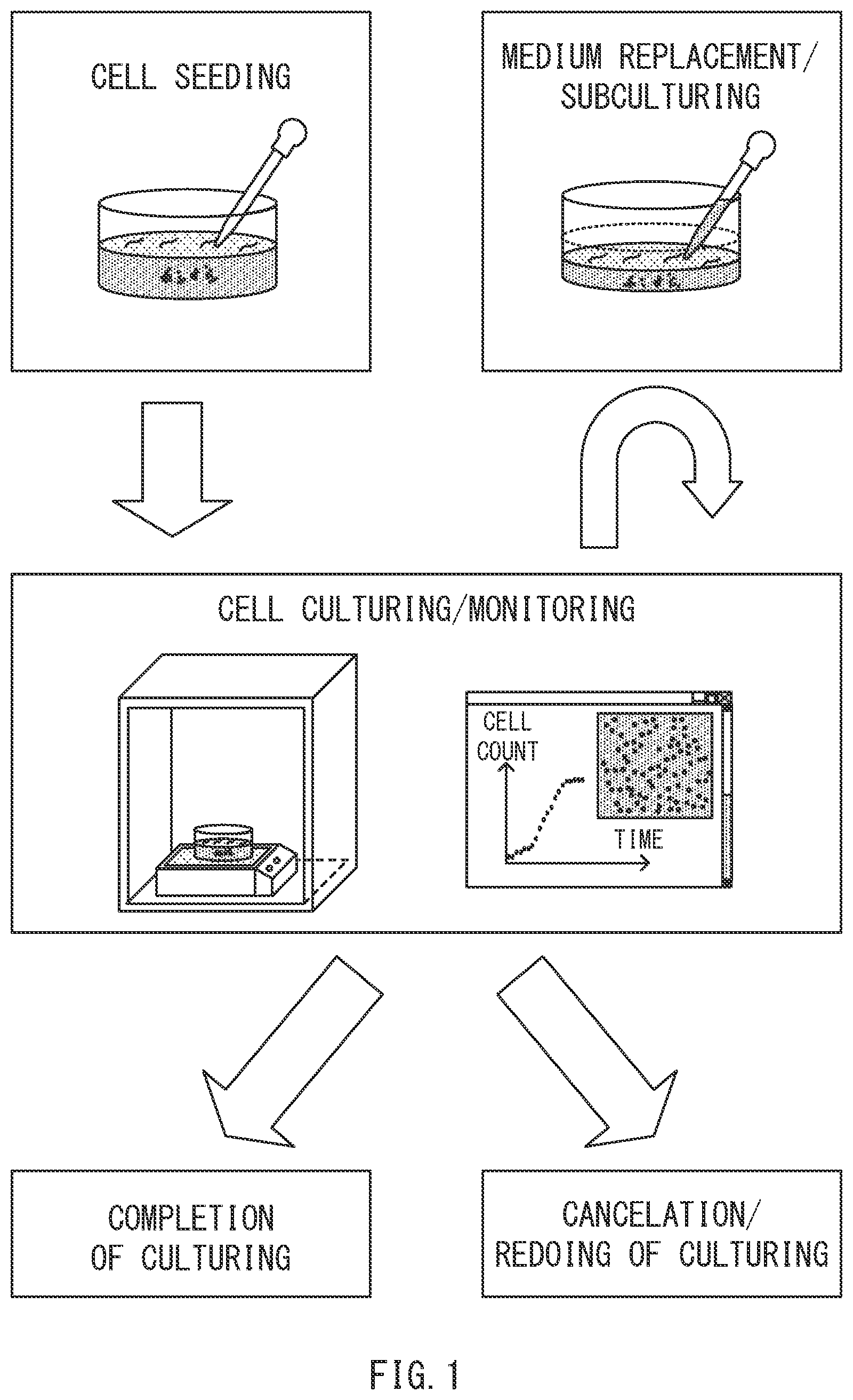 Patent US12306086 — Method for displaying cell count information, system, and computer-readable medium — Figure 1