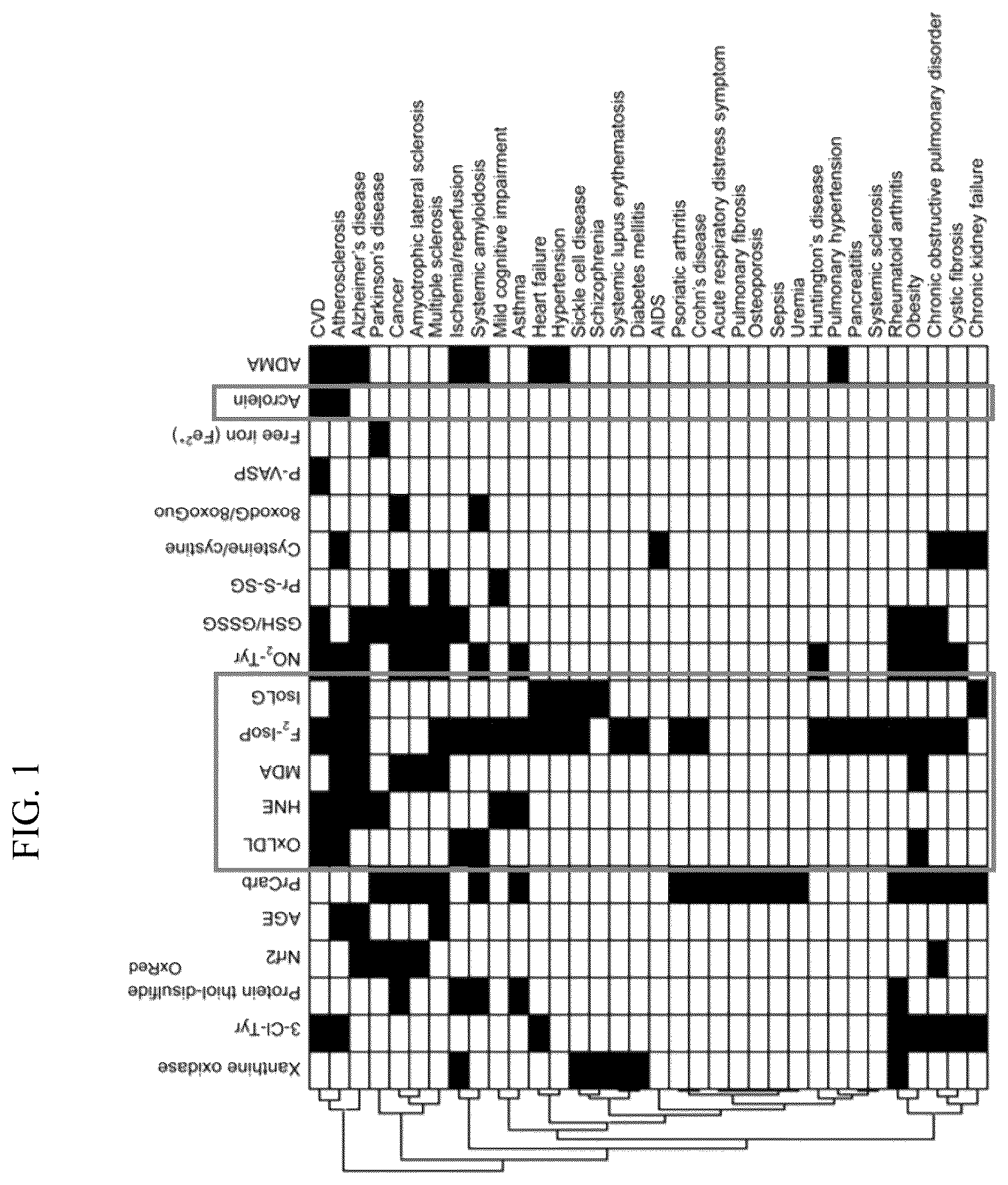 Patent US12306164 — Therapeutic drug for lipid-peroxidation-induced diseases and screening method for therapeutic drugs for lipid-peroxidation-induced diseases — Figure 1