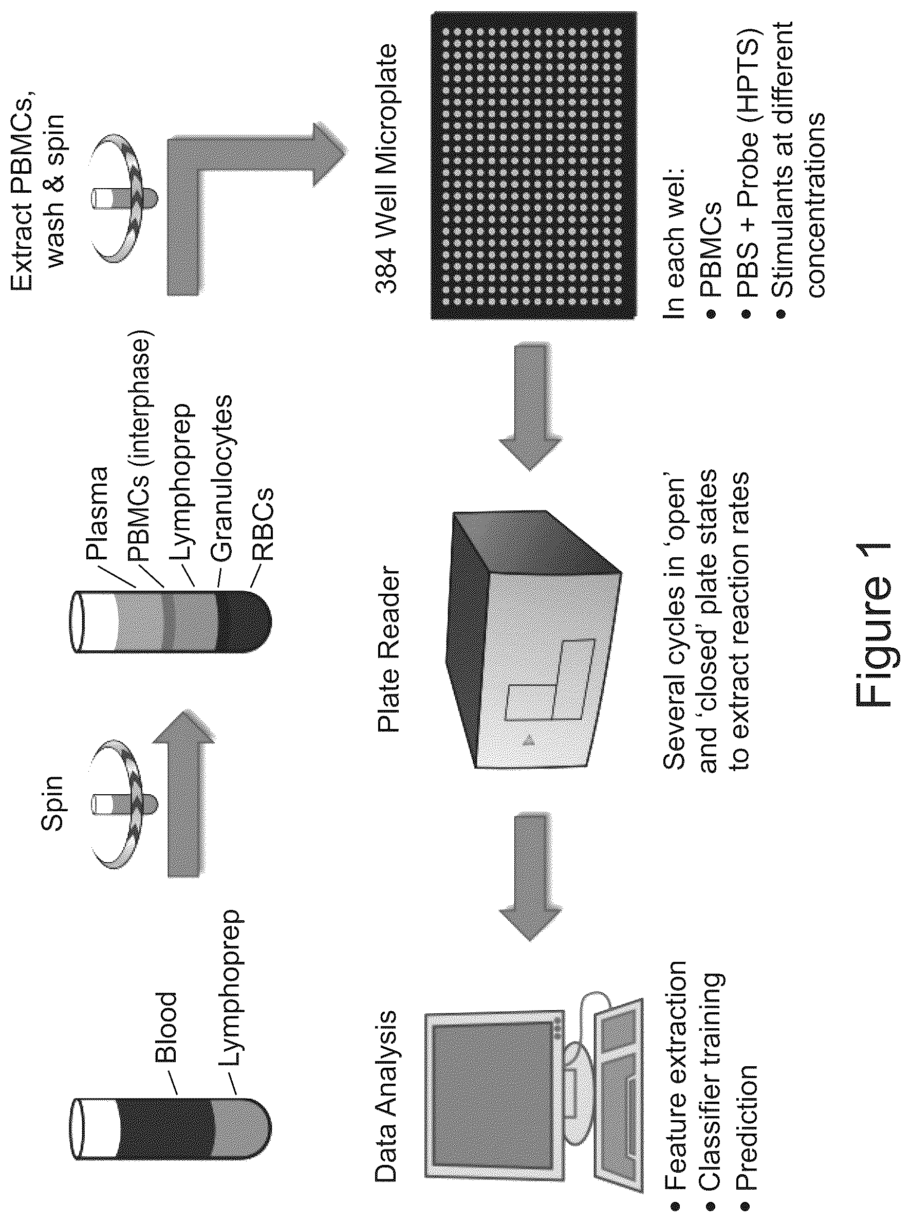 Patent US12306188 — Methods of diagnosing and treating lung cancer — Figure 1