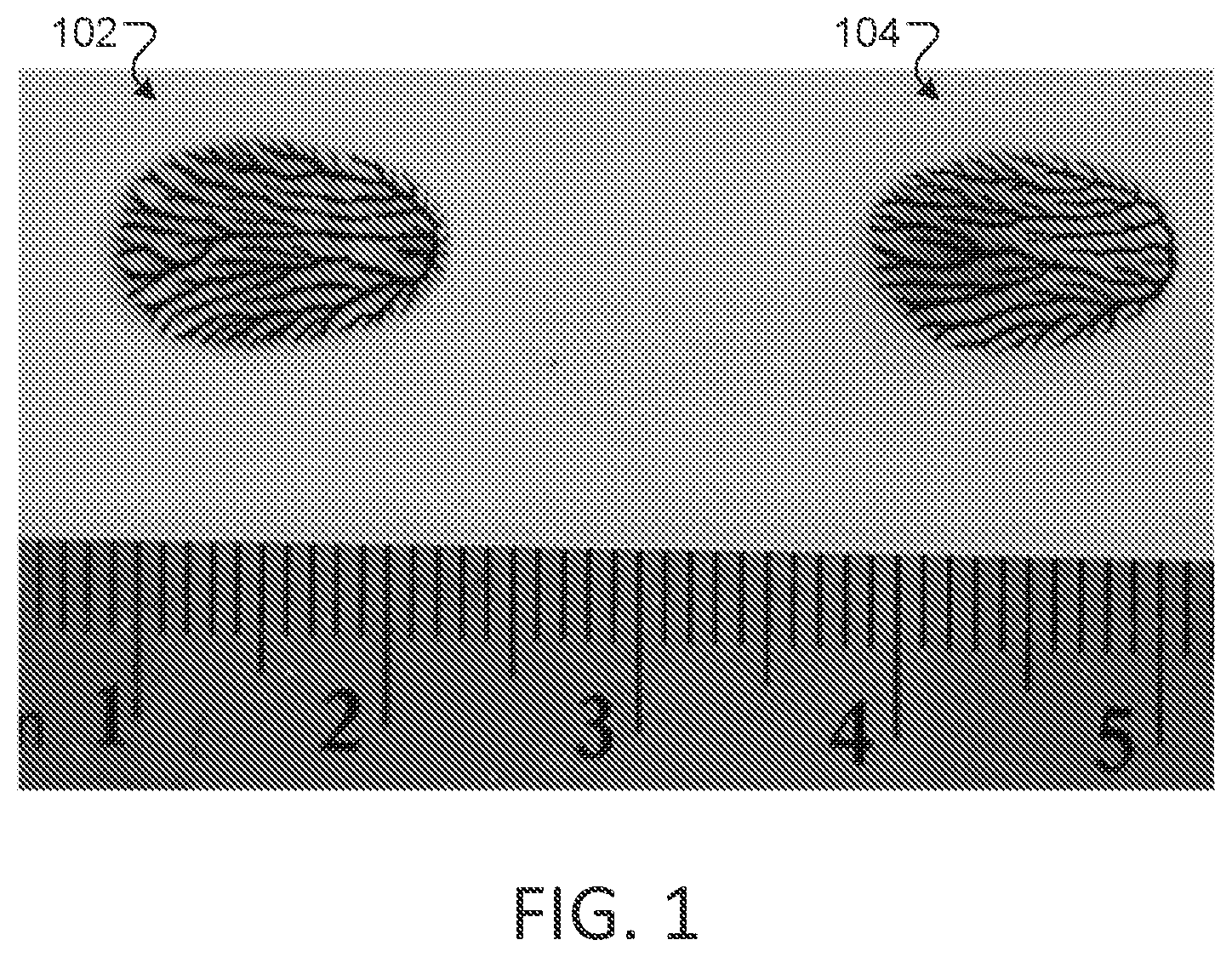Patent US12307323 — Authentication of identifiers by light scattering — Figure 1