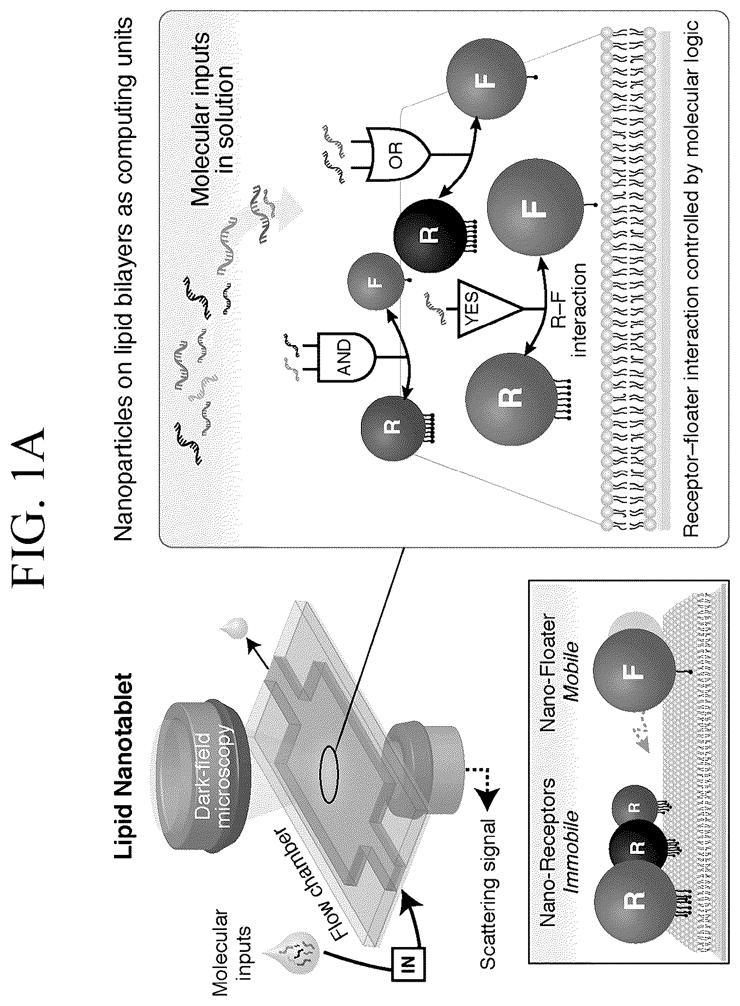 Patent US12307346 — Lipid nanotablet — Figure 1
