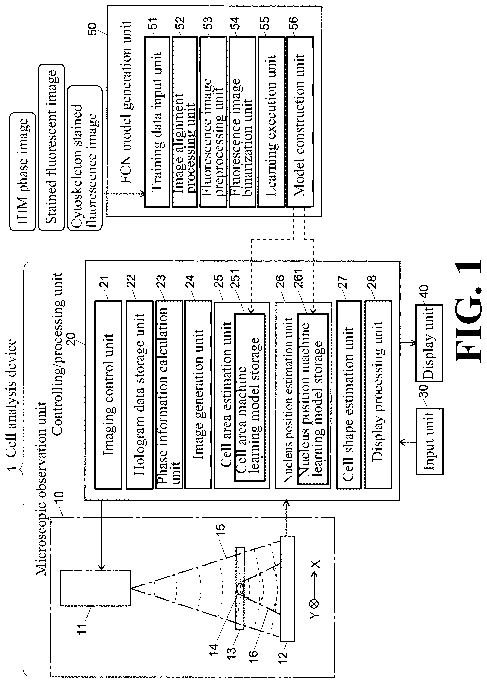 Patent US12307655 — Cell image analysis method and cell image analysis device — Figure 1