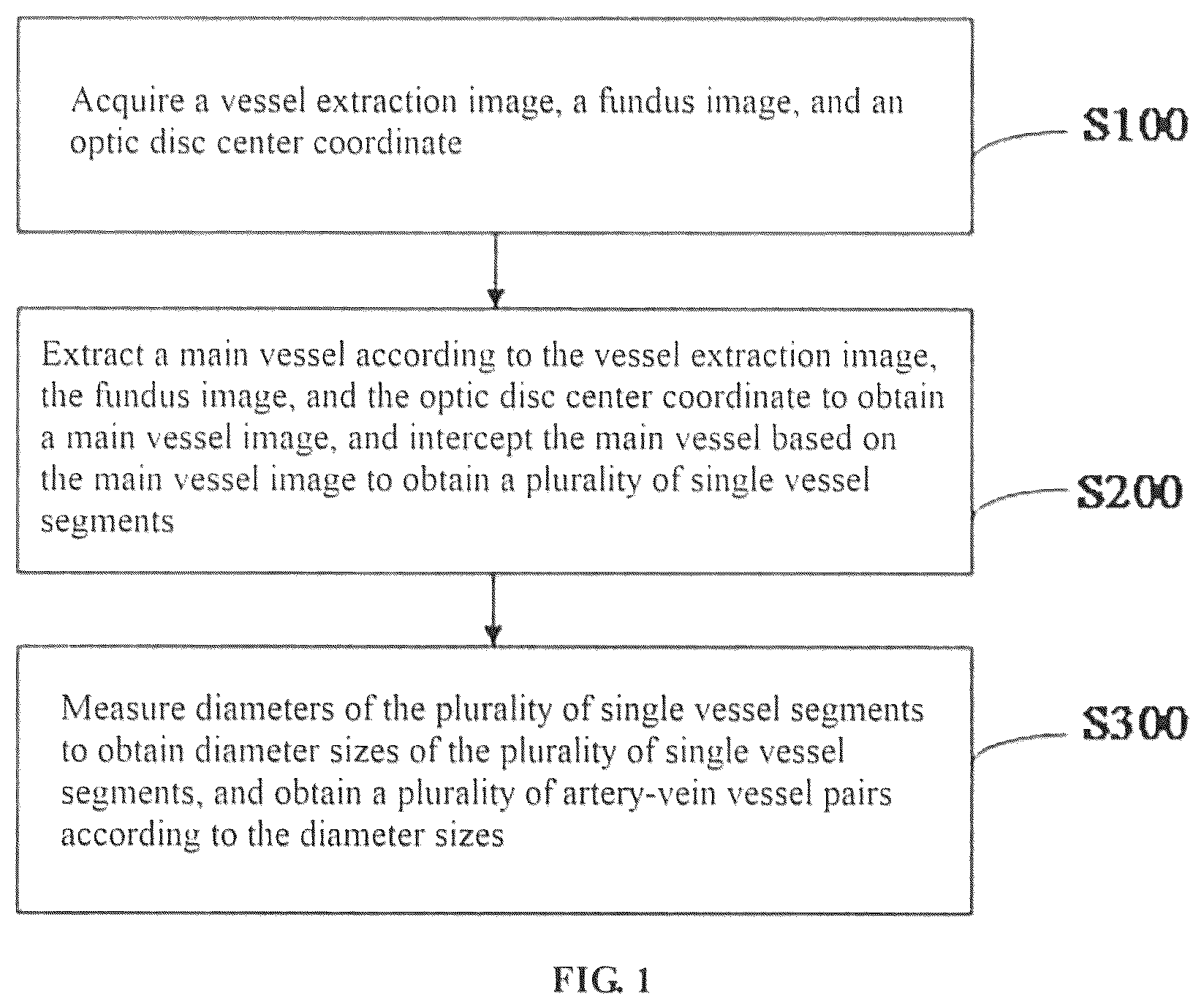 Patent US12307663 — Method, device and apparatus for differentiating arteries and veins of retinal vessels — Figure 1