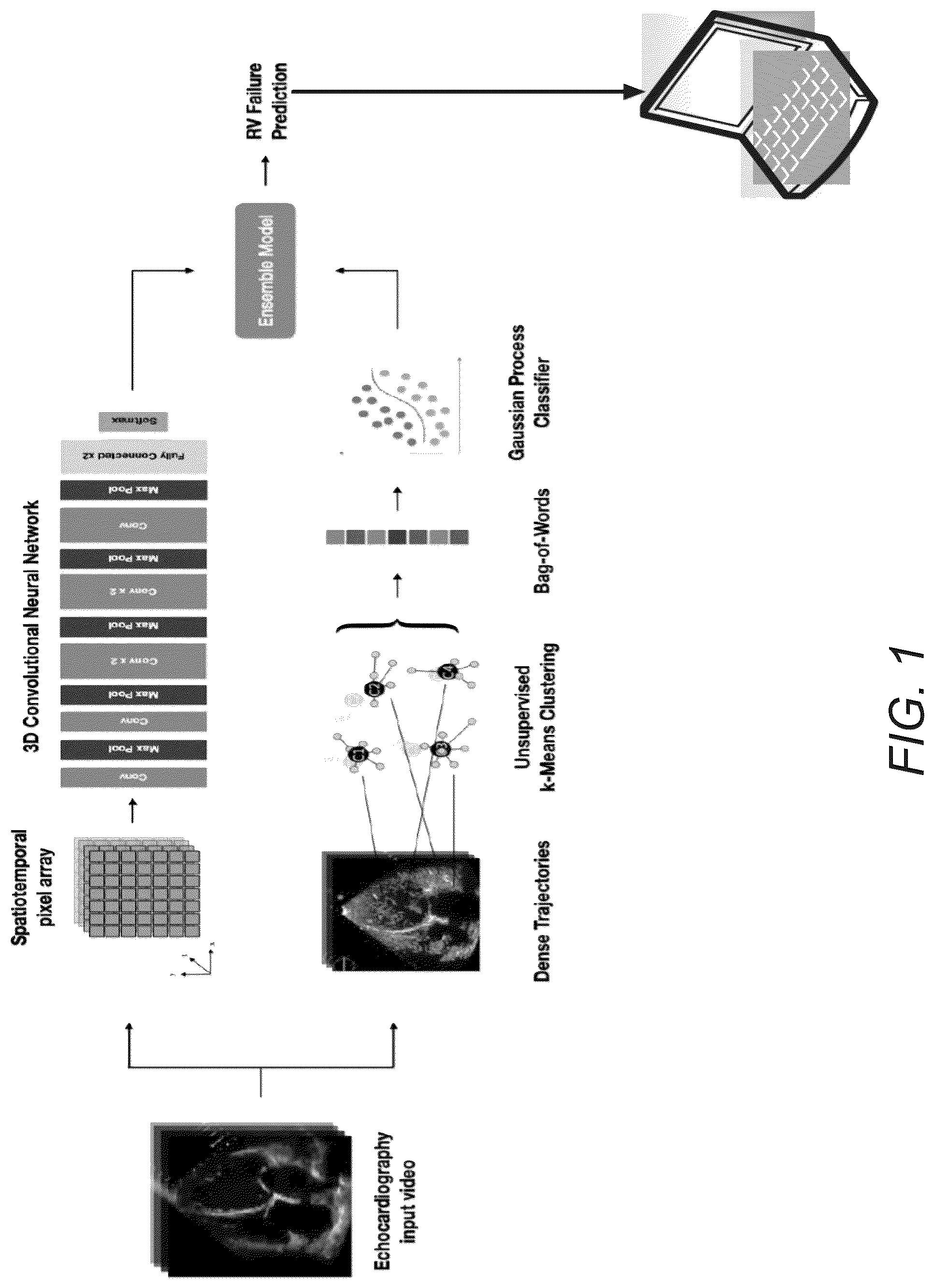 Patent US12307666 — Systems and methods for predicting post-operative right ventricular failure using echocardiograms — Figure 1