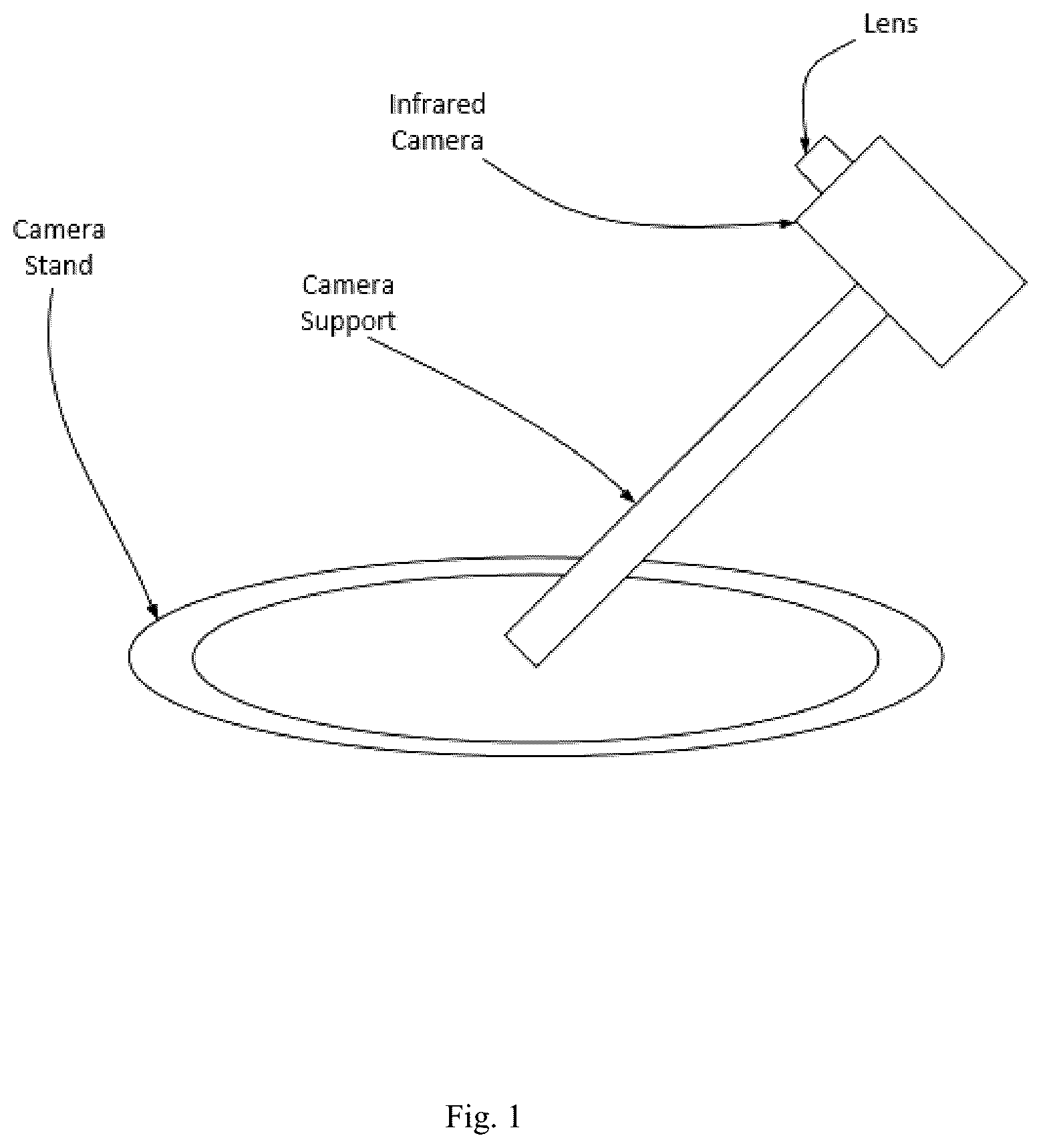 Patent US12307669 — Detection and characterization of cancerous tumors — Figure 1