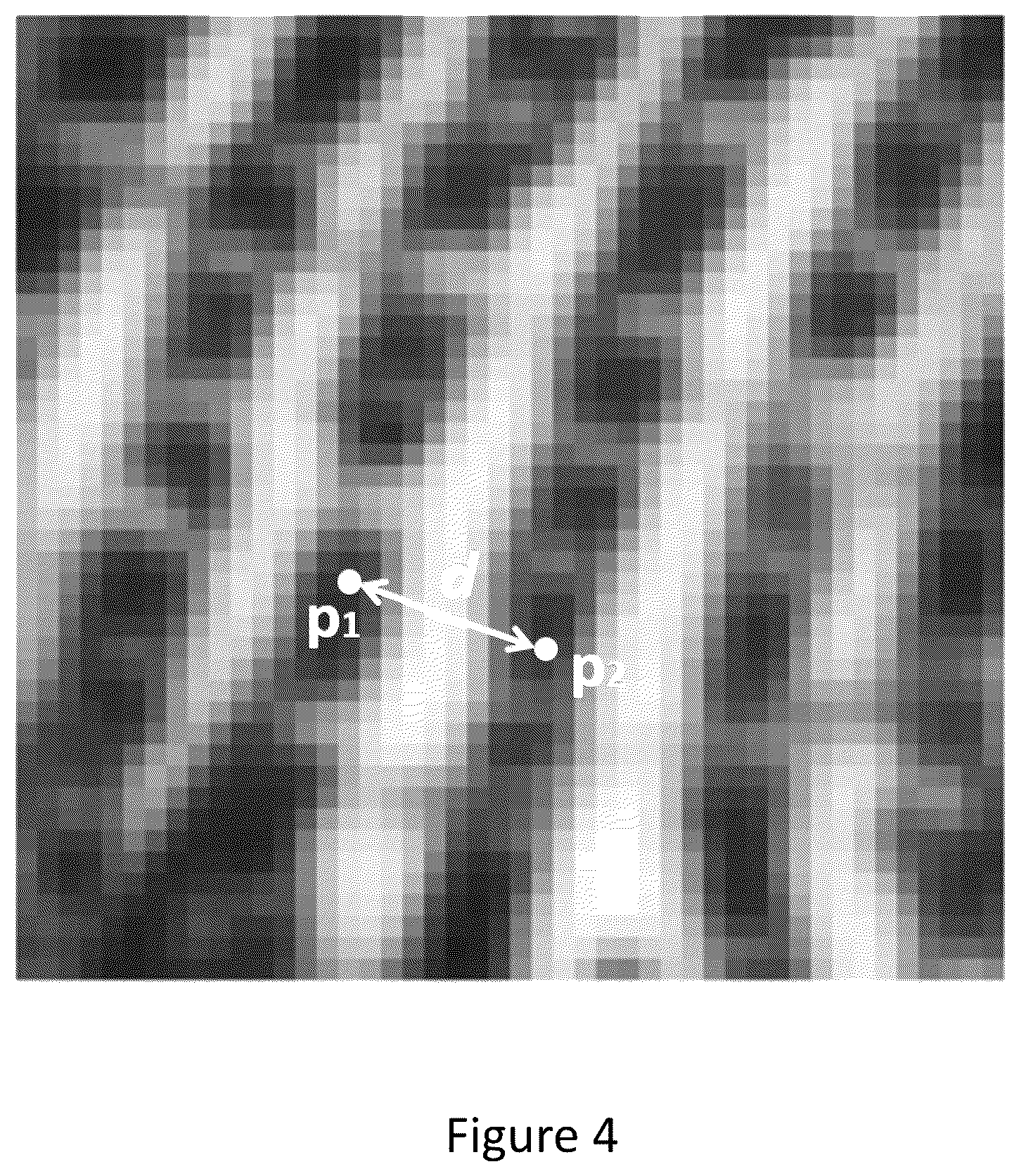 Patent US12307806 Figure 3 – Method using inter-ridge distances in pixels relating to fingerprints