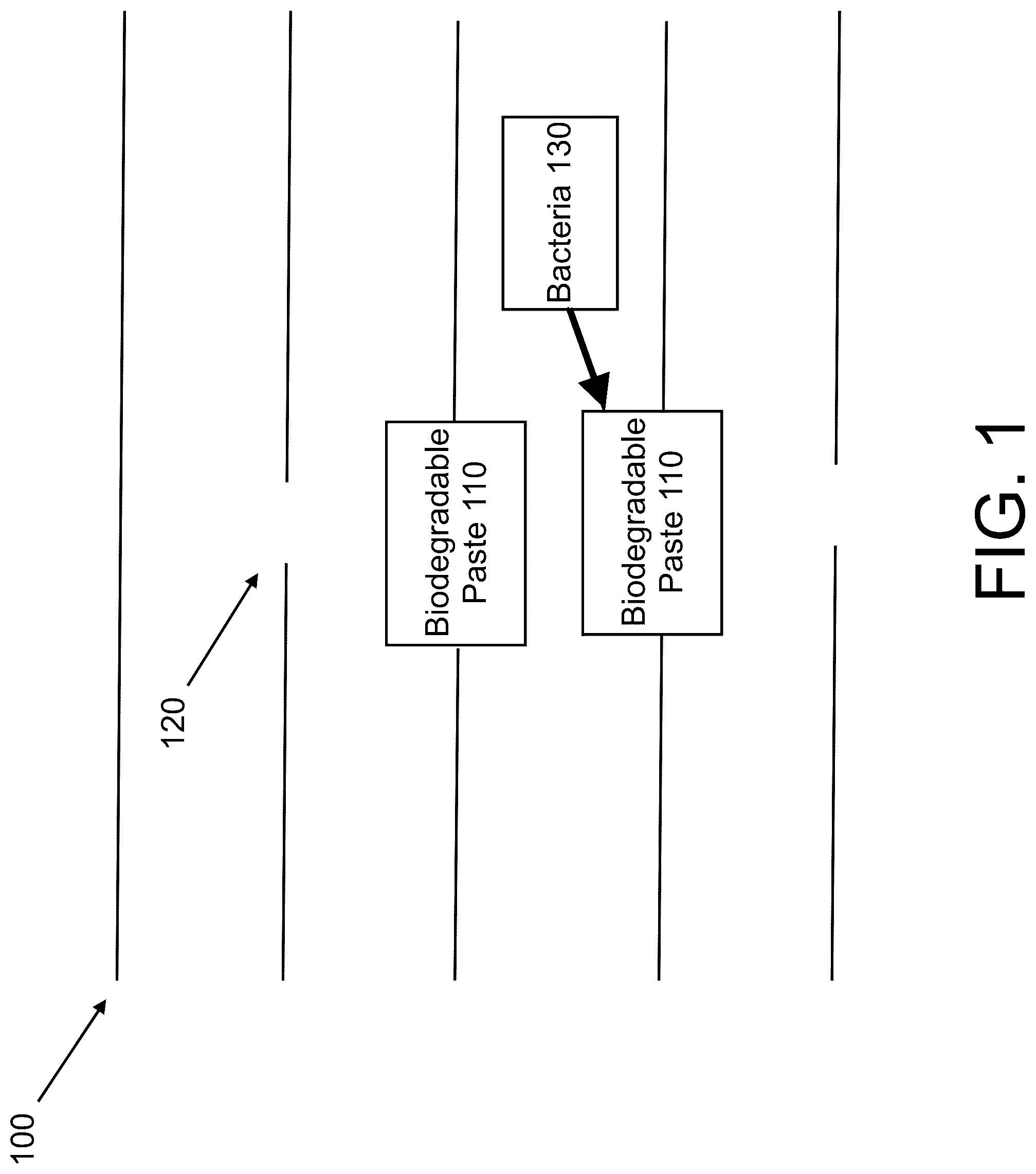 Patent US12308137 — System and method for a temporary biological circuit — Figure 1