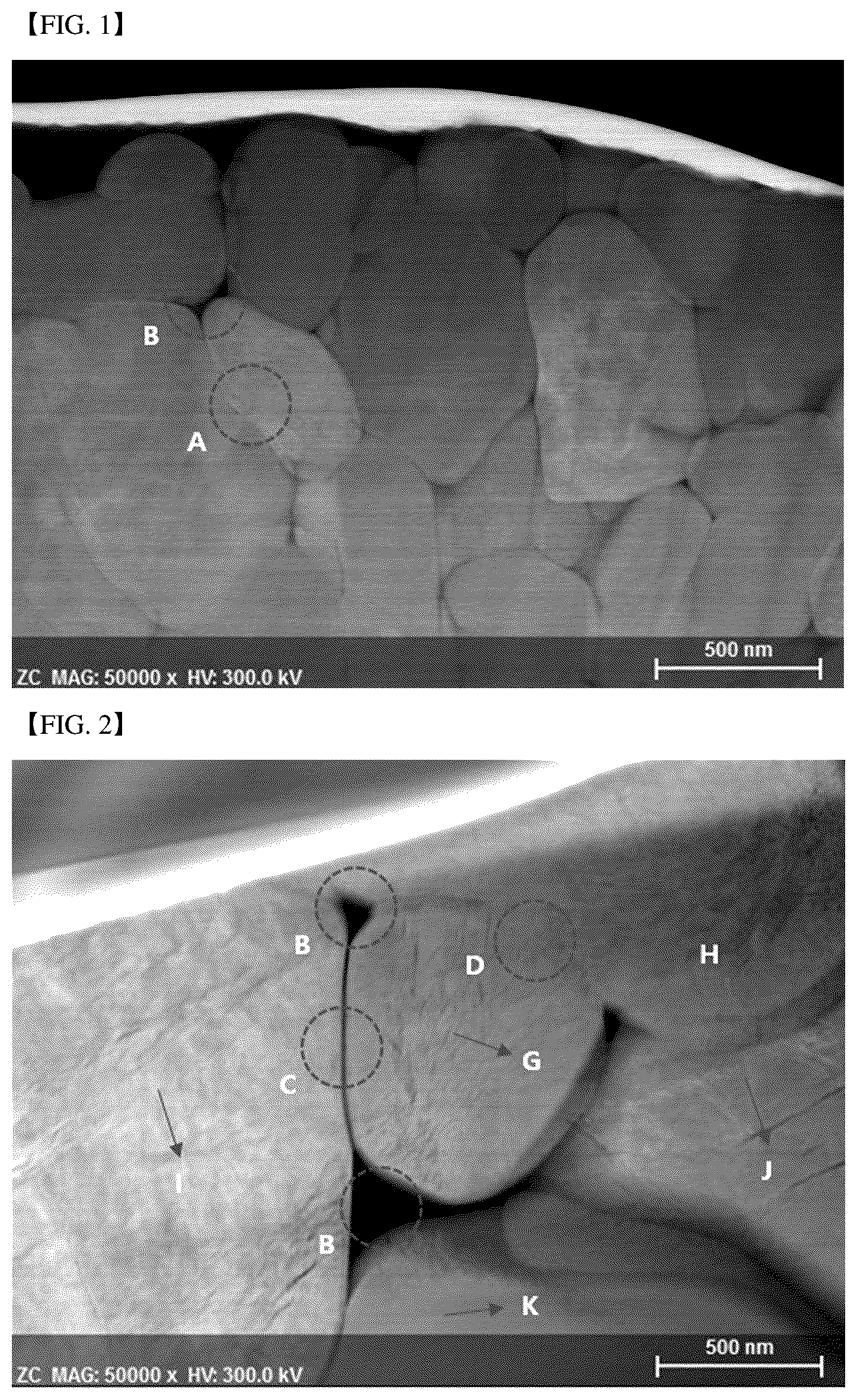 Patent US12308418 — Secondary battery active material — Figure 1