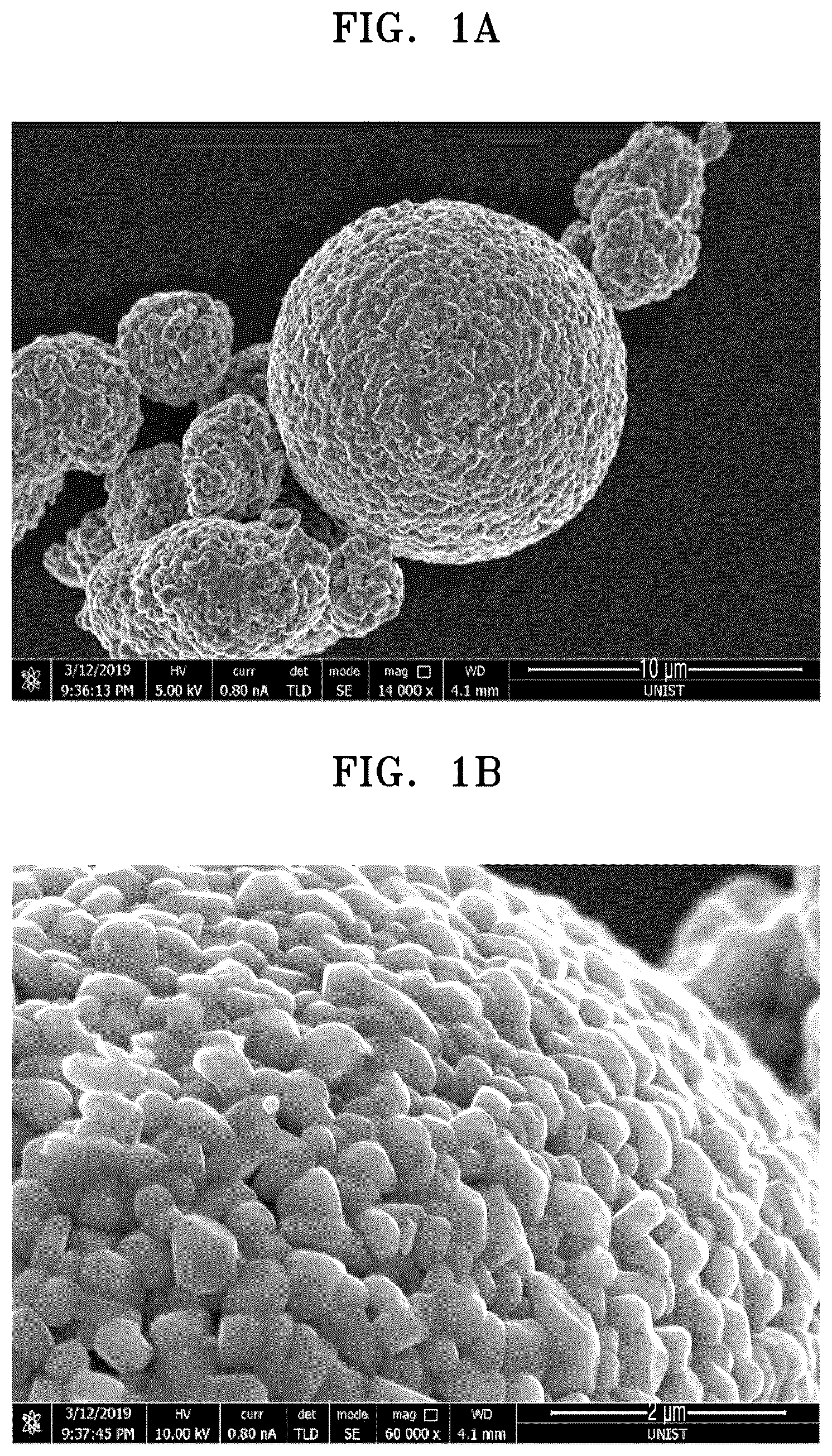 Patent US12308430 — Composite positive electrode active material for lithium secondary battery, preparation method thereof, and lithium secondary battery including positive electrode including the same — Figure 1
