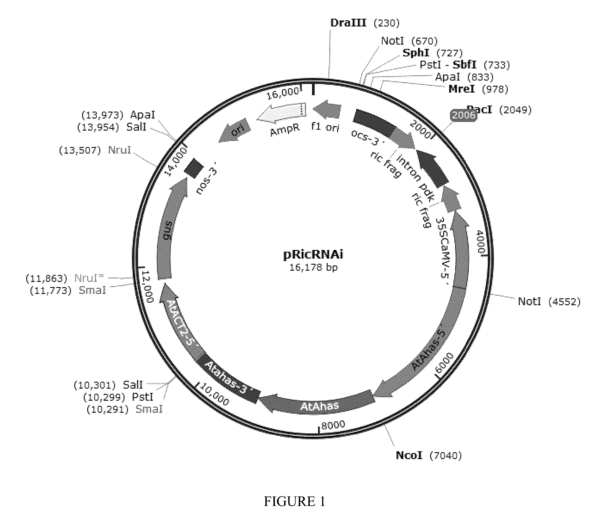 Patent US12310308 Figure 1 – 