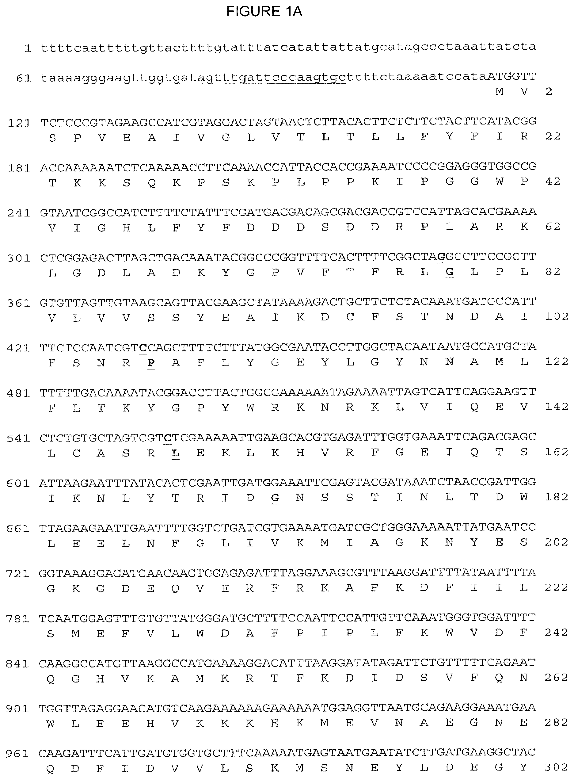 Patent US12310324 — — Figure 1