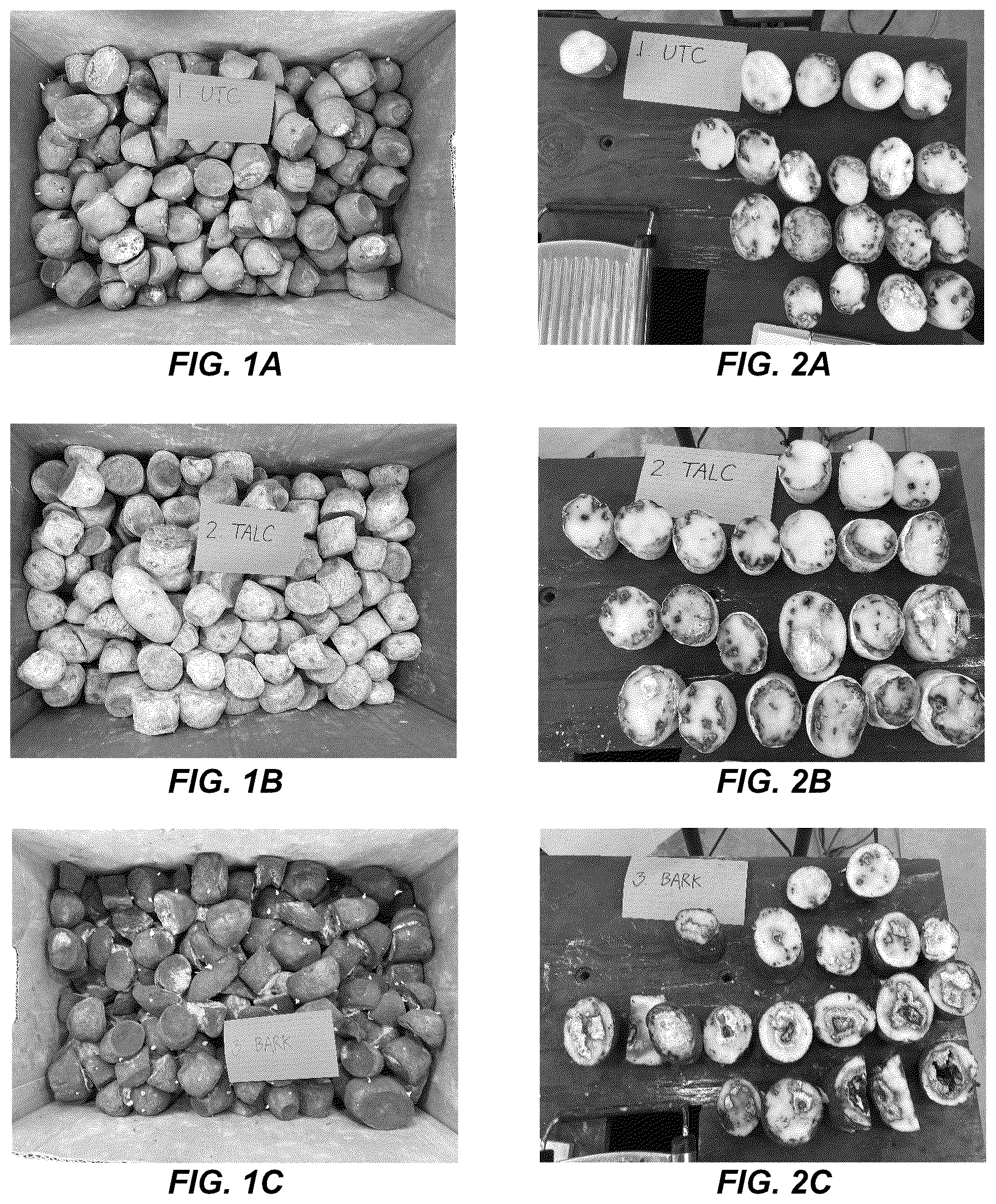 Patent US12310369 — Anti-microbial treatment for seeds and crops — Figure 1