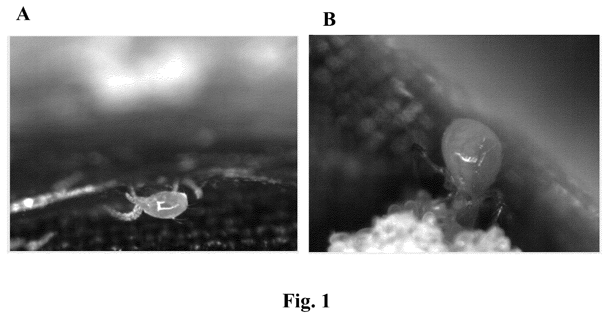 Patent US12310370 Figure 1 – Methods for rearing and controlled release of biological control agents