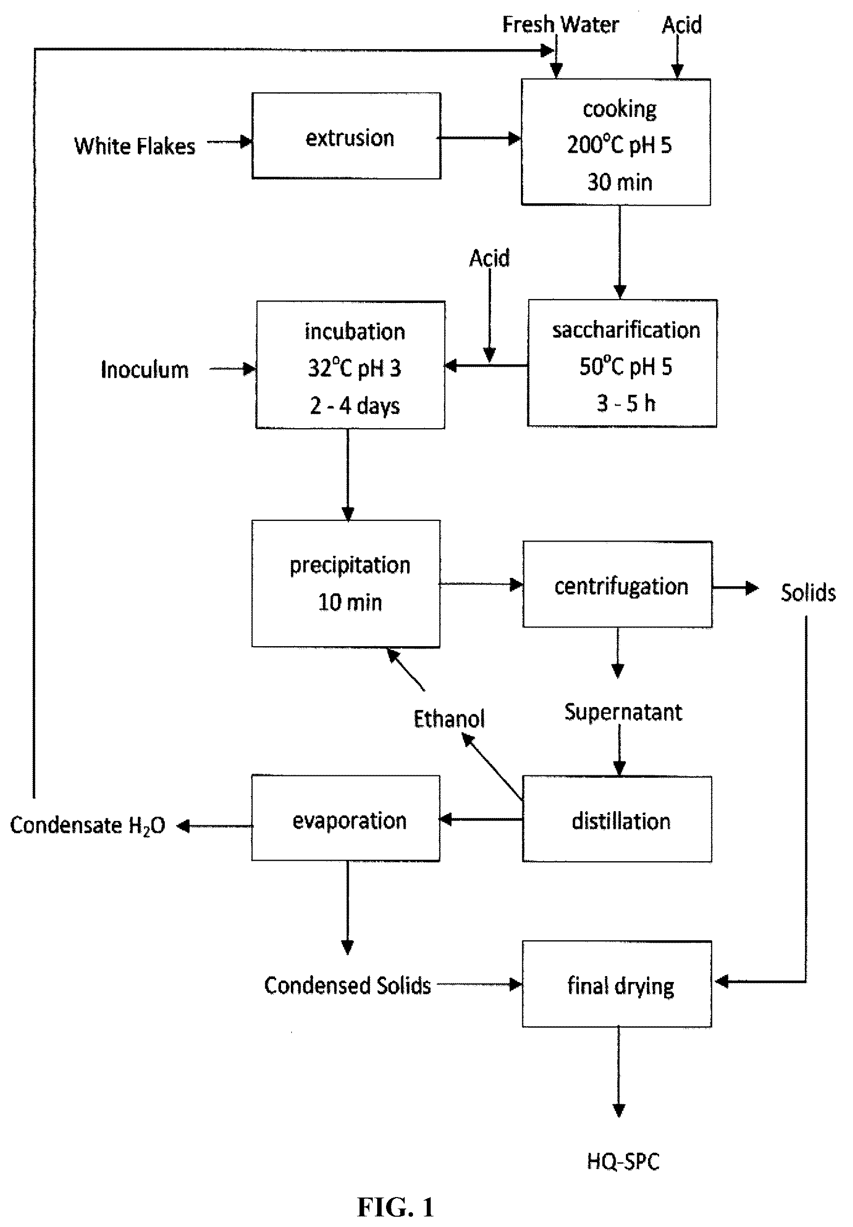 Patent US12310384 — Microbial-based process for high quality protein concentrate — Figure 1