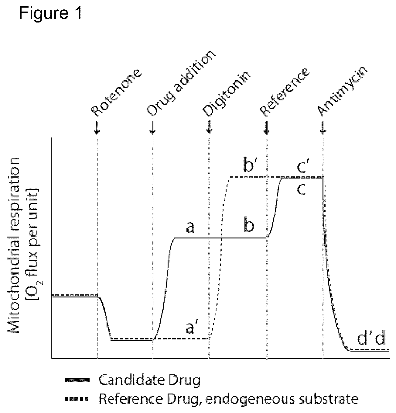 Patent US12310940 — Cell-permeable succinate compounds — Figure 1