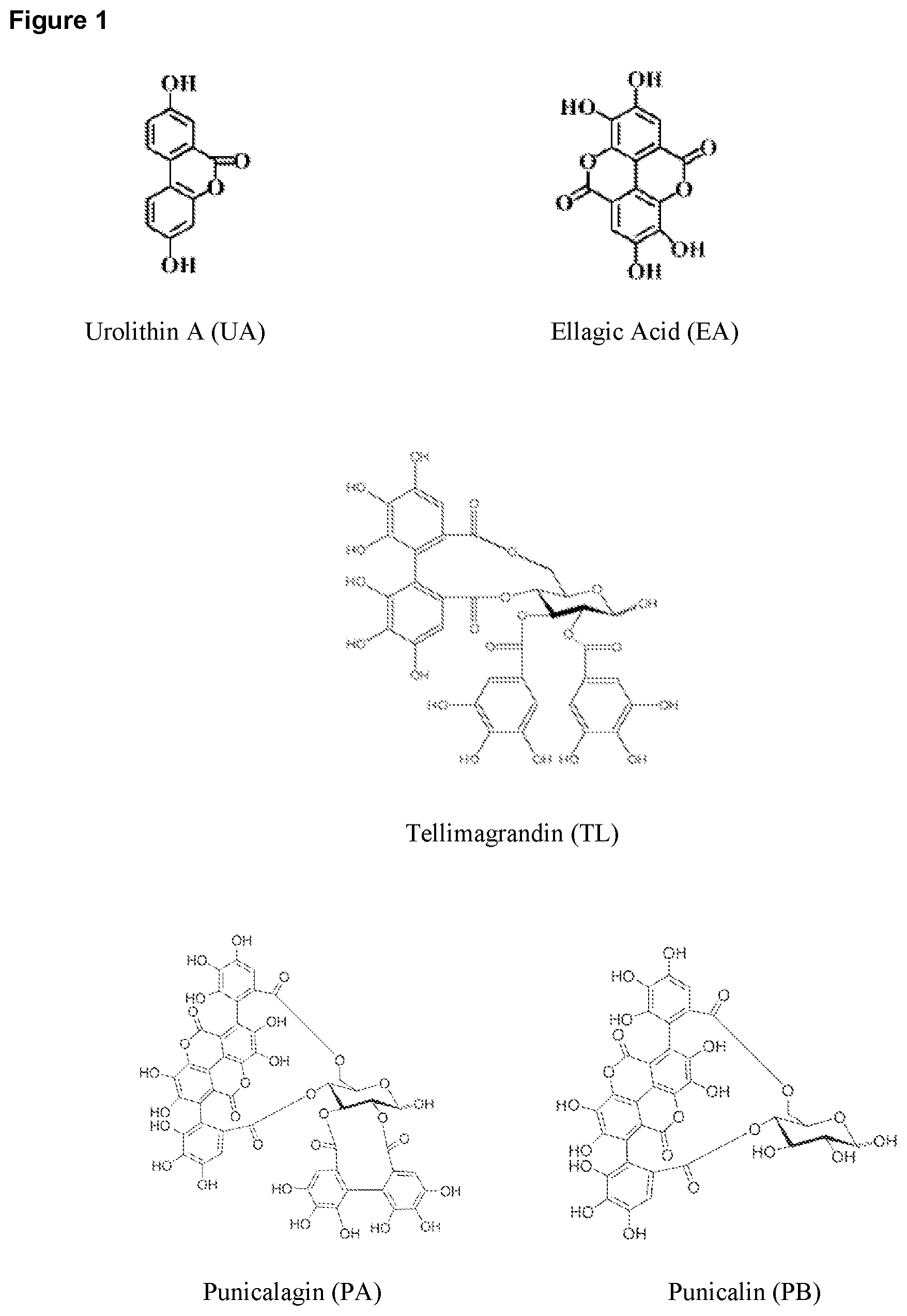 Patent US12310943 — Compositions and methods for improving mitochondrial function and treating neurodegenerative diseases and cognitive disorders — Figure 1