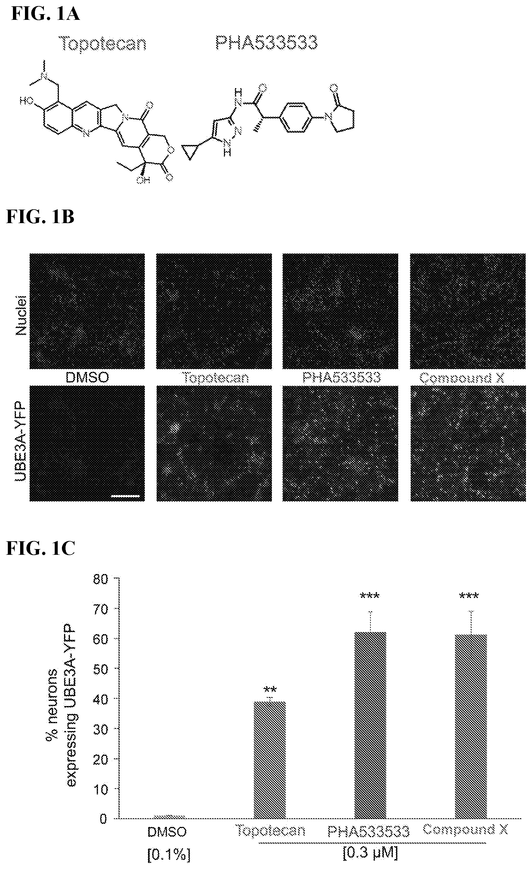 Patent US12310947 — Methods and compositions for unsilencing imprinted genes — Figure 1