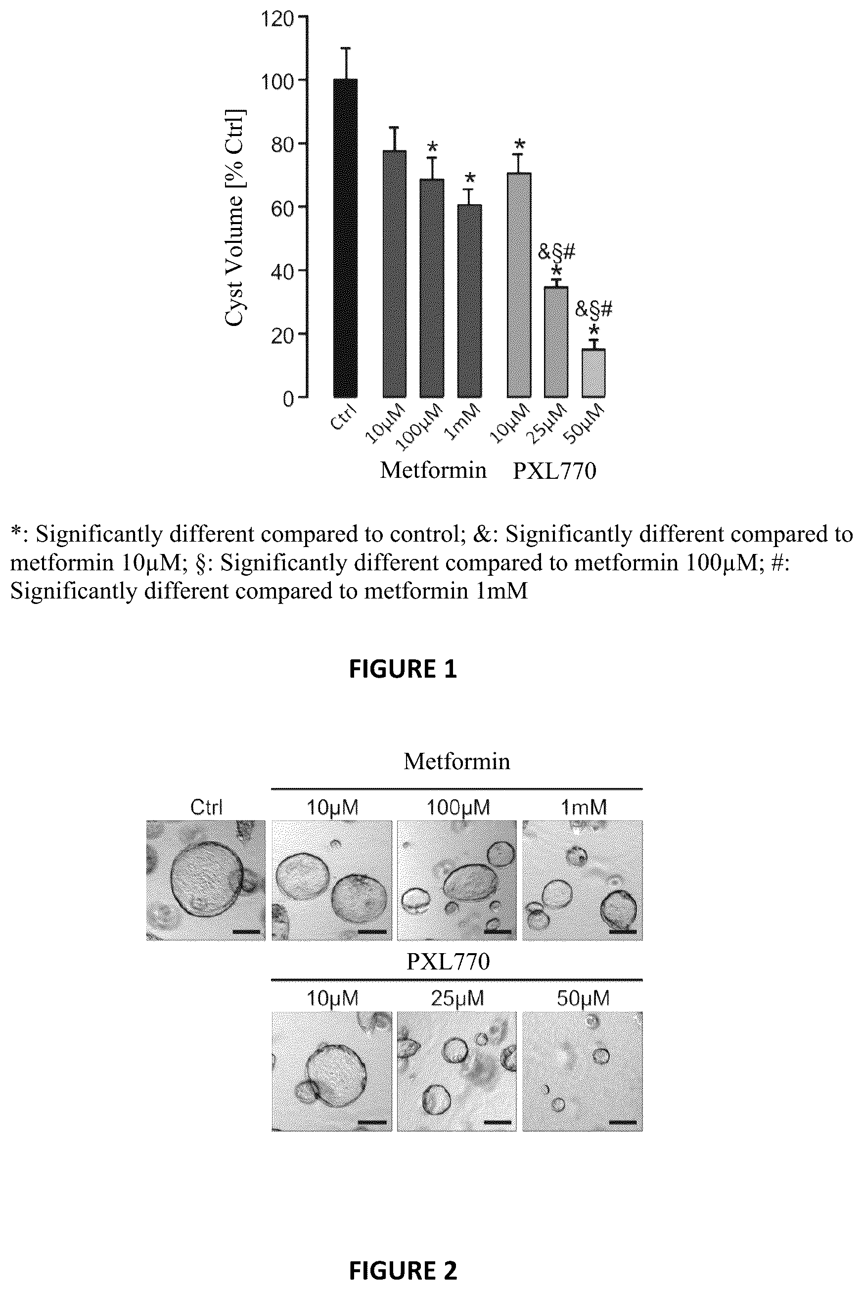 Patent US12310949 — Use of a thienopyridone derivative in the treatment of autosomal dominant polycystic kidney disease (ADPKD) — Figure 1