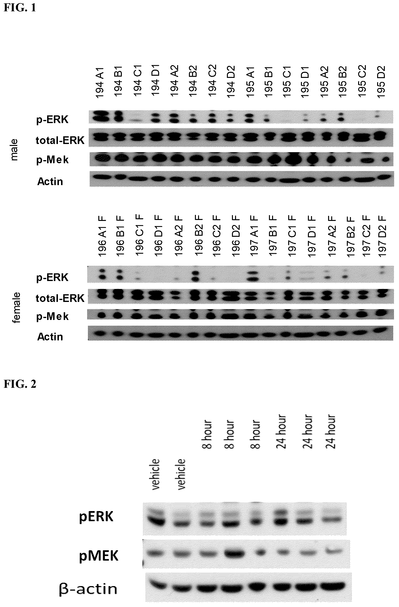 Patent US12310950 — Formulations of pyrrolopyridine-aniline compounds — Figure 1