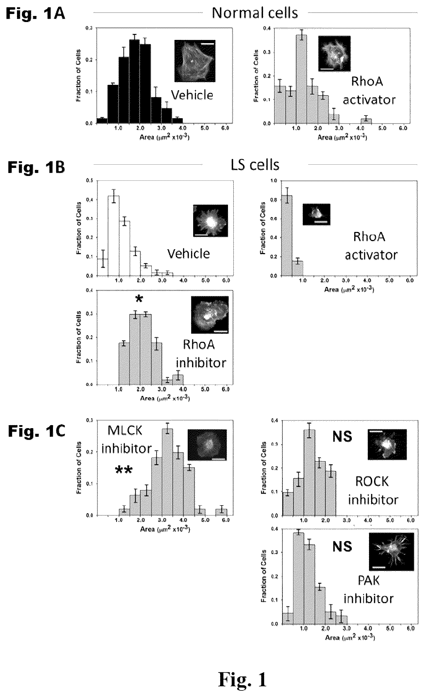 Patent US12310964 — Compositions and methods for the treatment of Lowe Syndrome — Figure 1