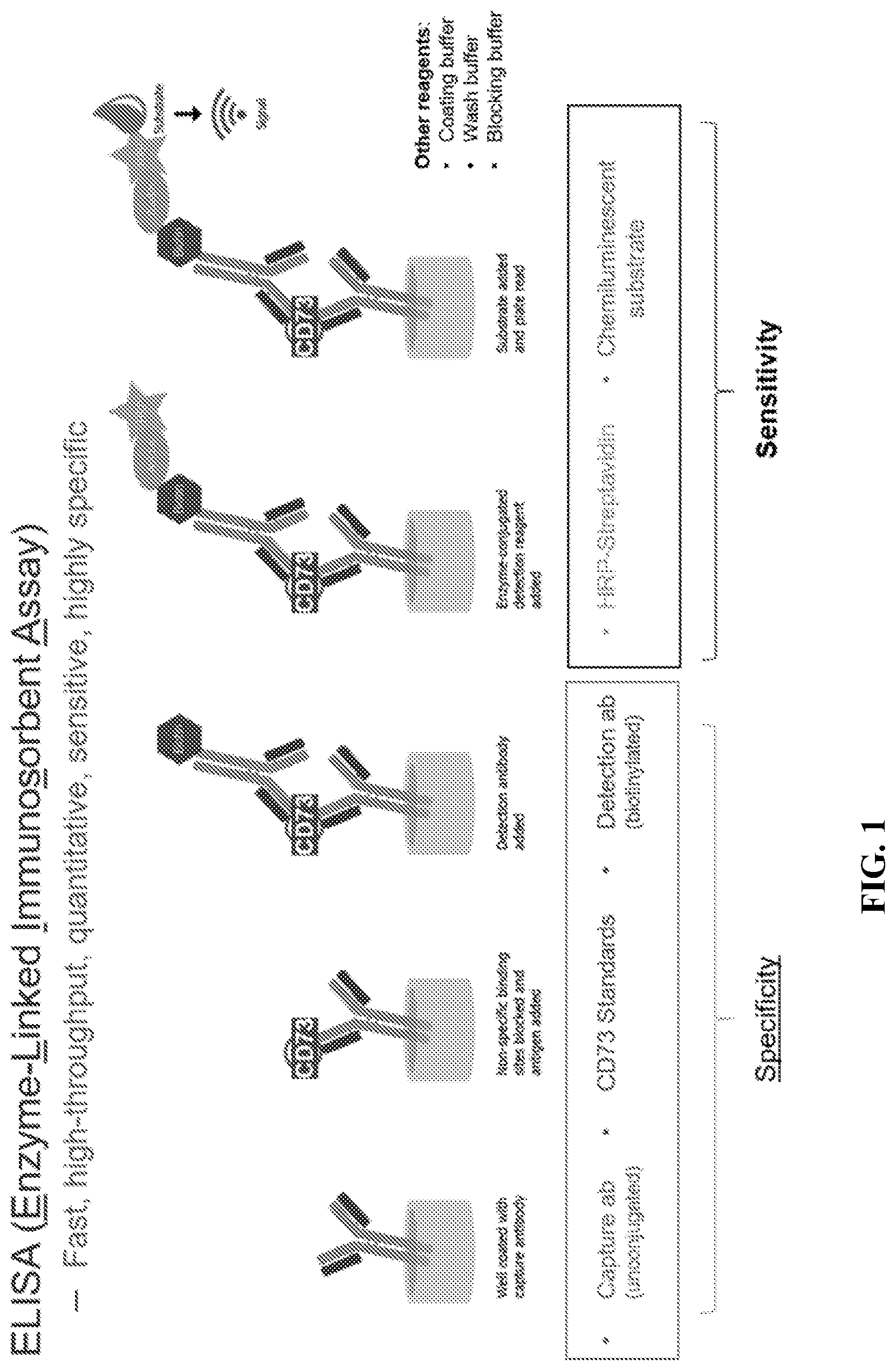 Patent US12310965 — Treatment of cancer utilizing an identified adenosine fingerprint — Figure 1