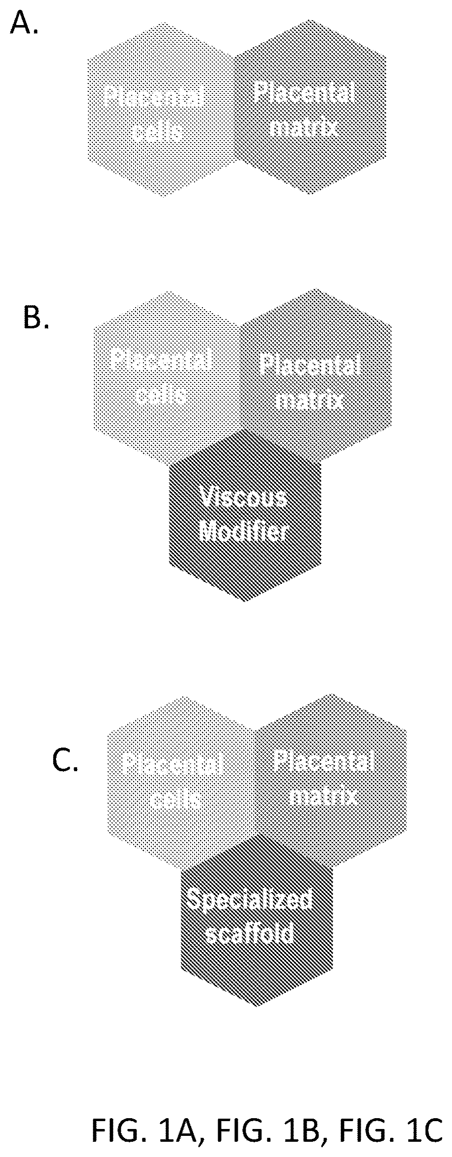 Patent US12310993 — Human tissue derived compositions and uses thereof — Figure 1
