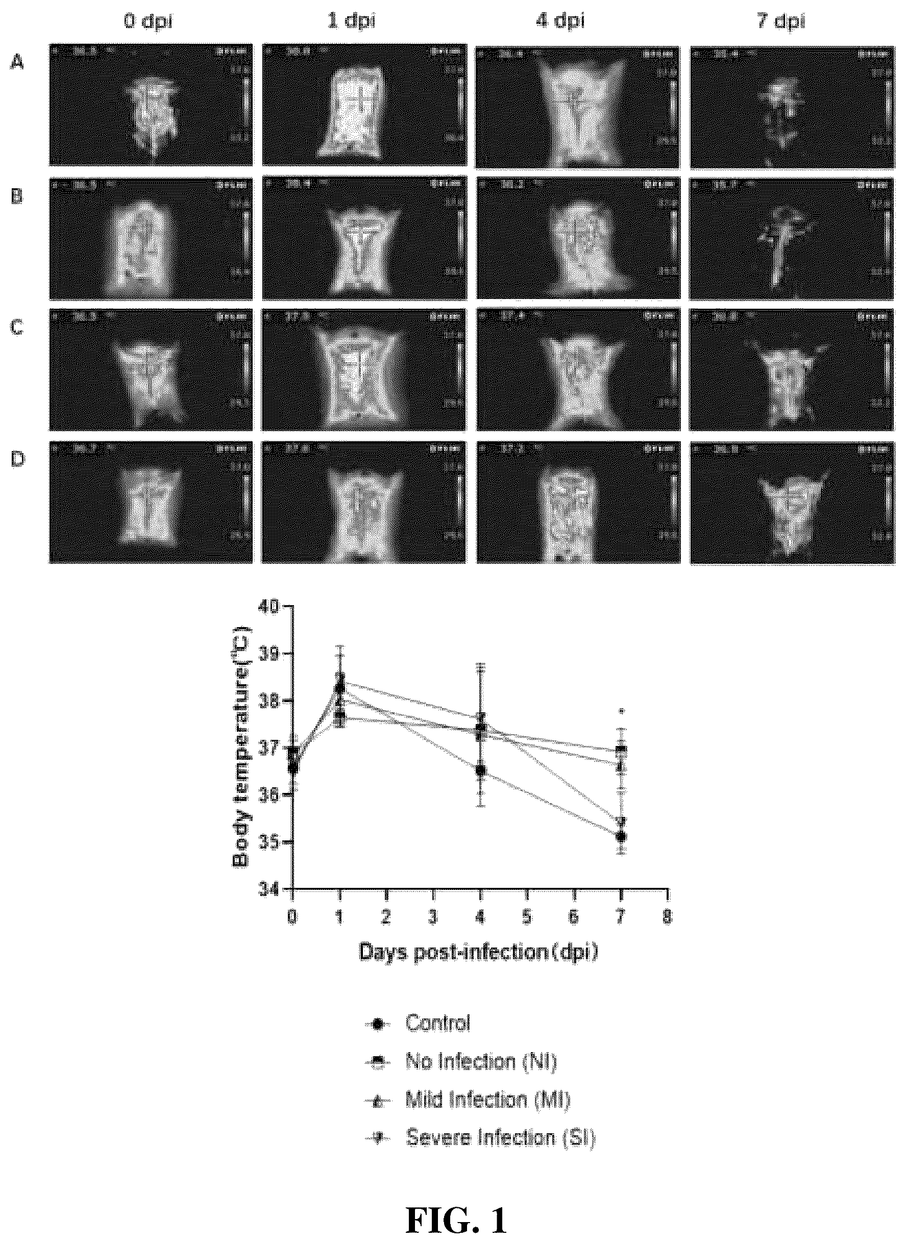 Patent US12310995 — Gut microbes against infectious diseases and its use — Figure 1