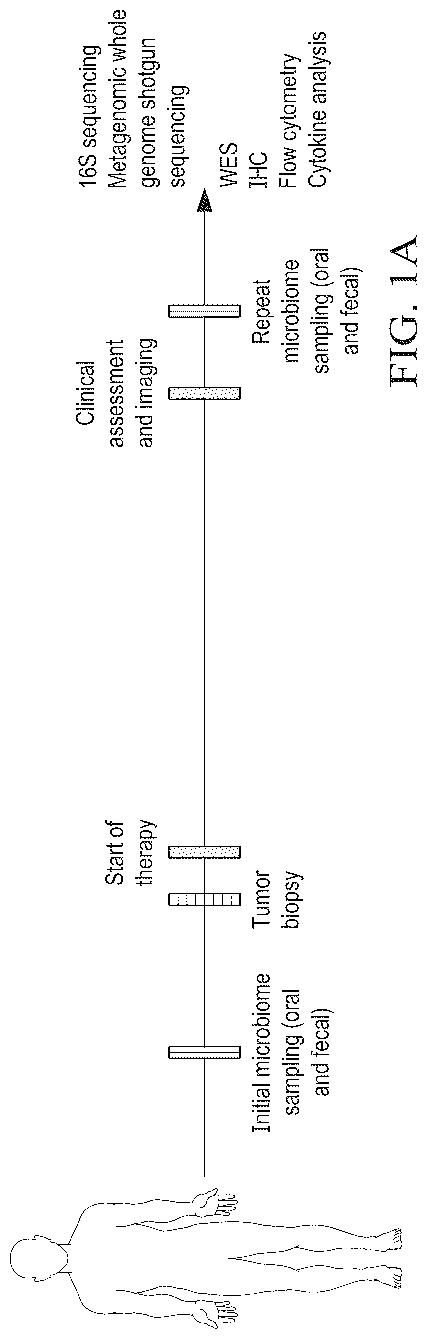 Patent US12310996 — Methods for enhancing immune checkpoint blockade therapy by modulating the microbiome — Figure 1