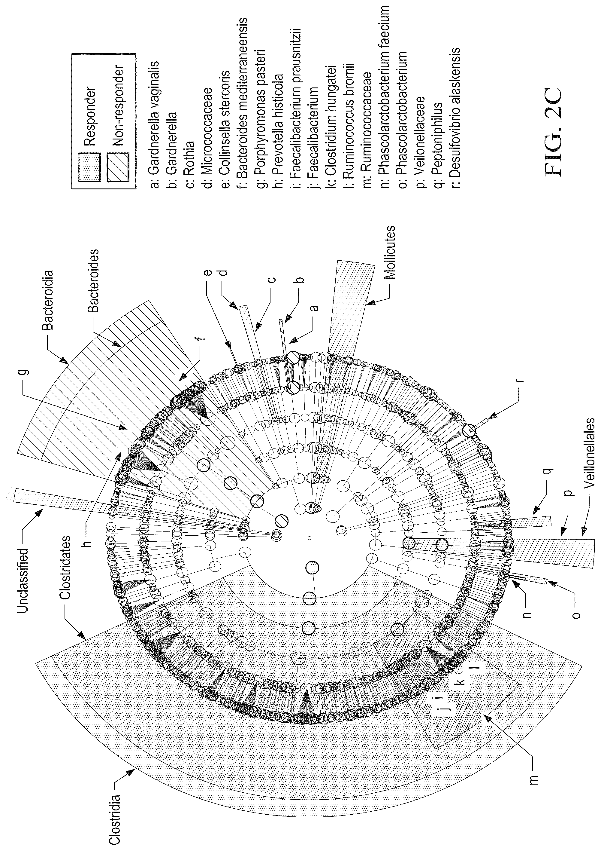 Patent US12310996 Figure 10 – Methods for enhancing immune checkpoint blockade therapy by modulating the microbiome