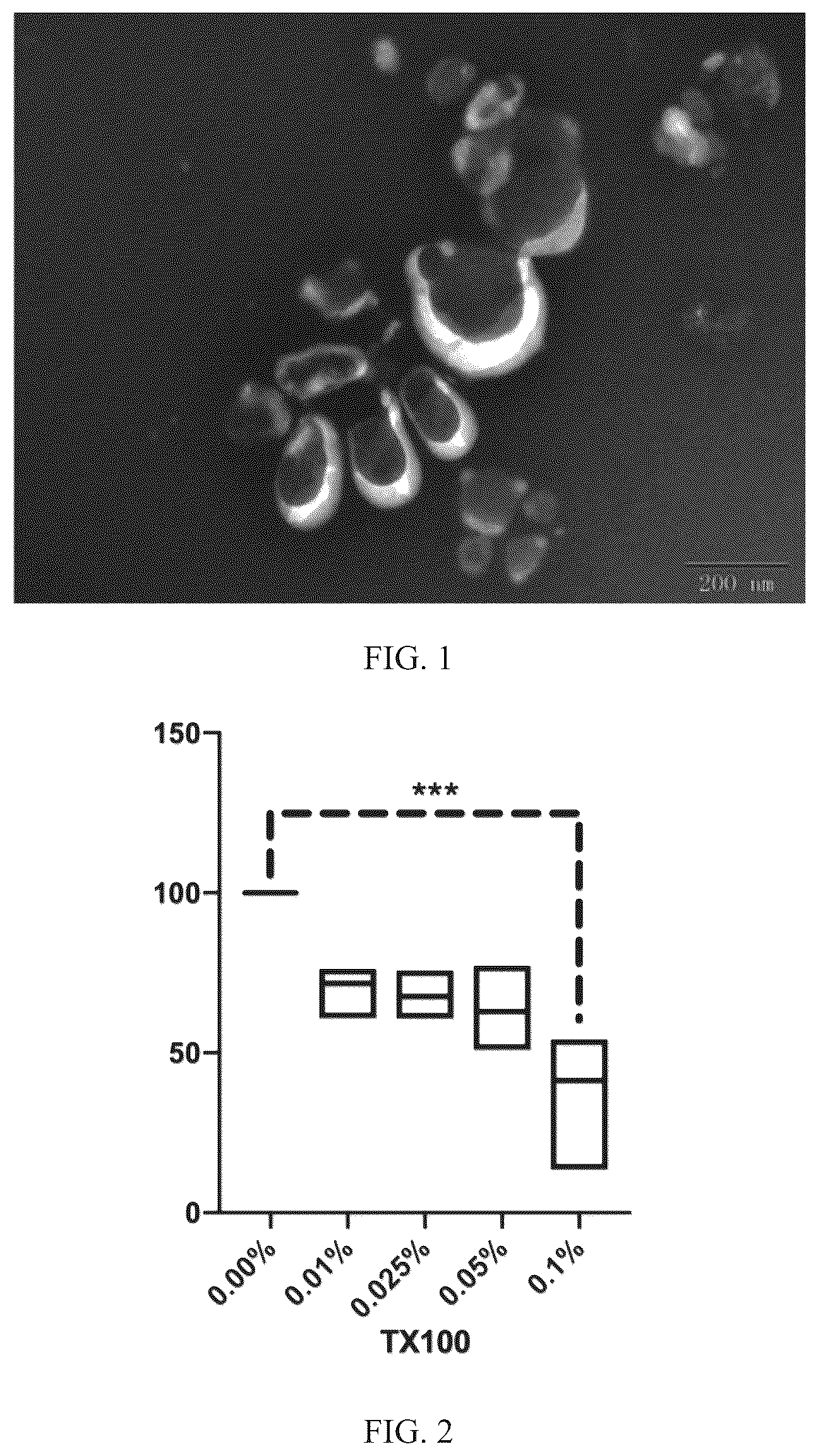 Patent US12311001 — Use of extracellular vesicles of Rhizoma Drynariae in preparation of medicine for treating orthopedic diseases — Figure 1