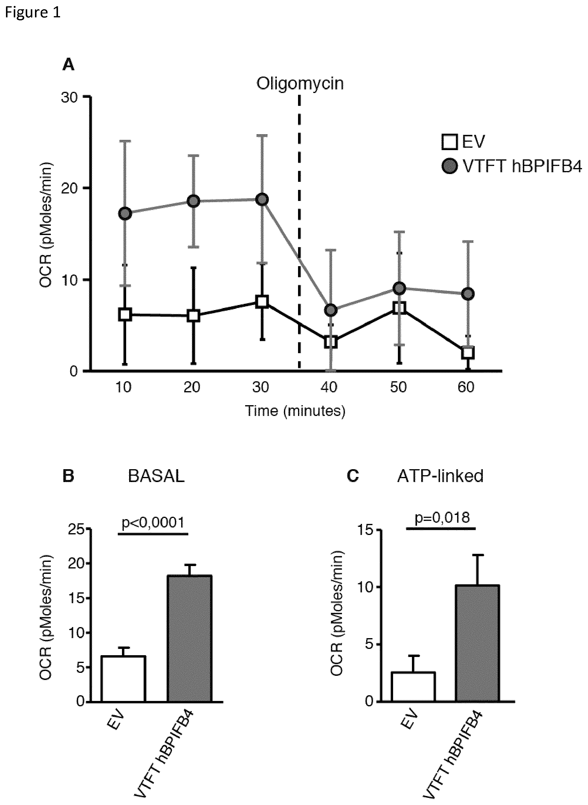 Patent US12311009 — Methods for treating huntington's disease using a polynucleotide encoding a VTFT isoform of a BPIFB4 protein — Figure 1