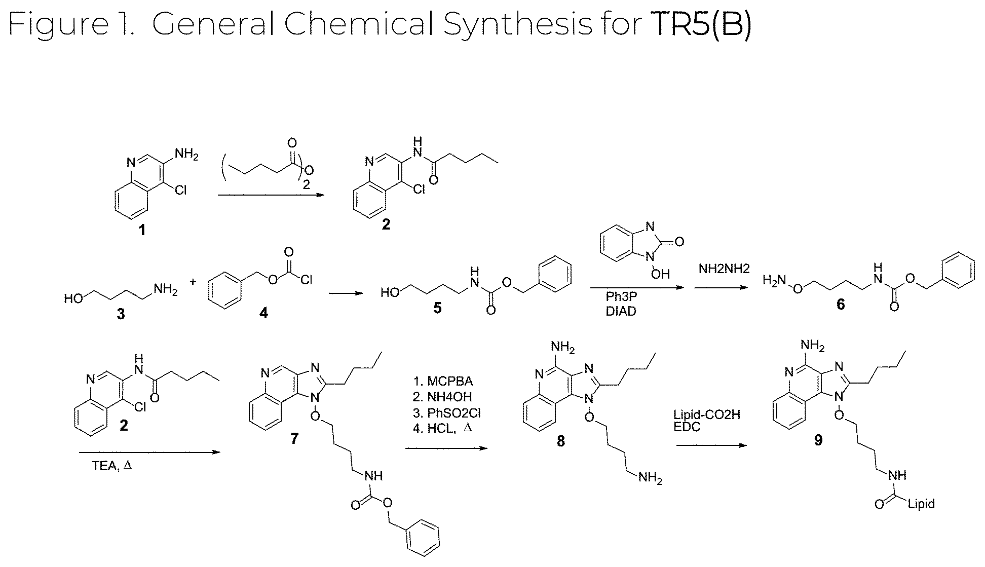 Patent US12311010 — Formulated and/or co-formulated liposome compositions containing toll-like receptor(“TLR”) agonist prodrugs useful in the treatment of cancer and methods thereof — Figure 1